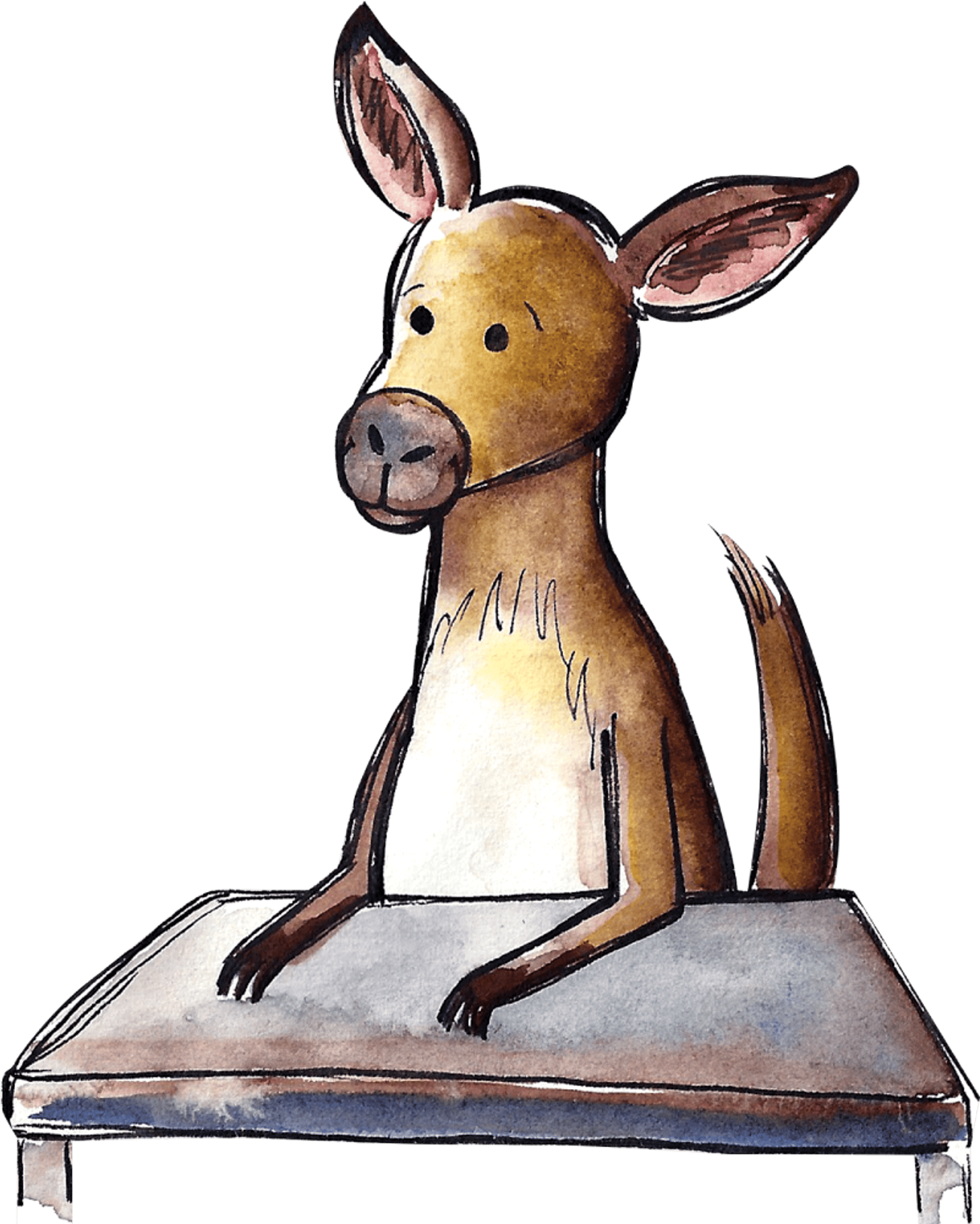 Kangaroo