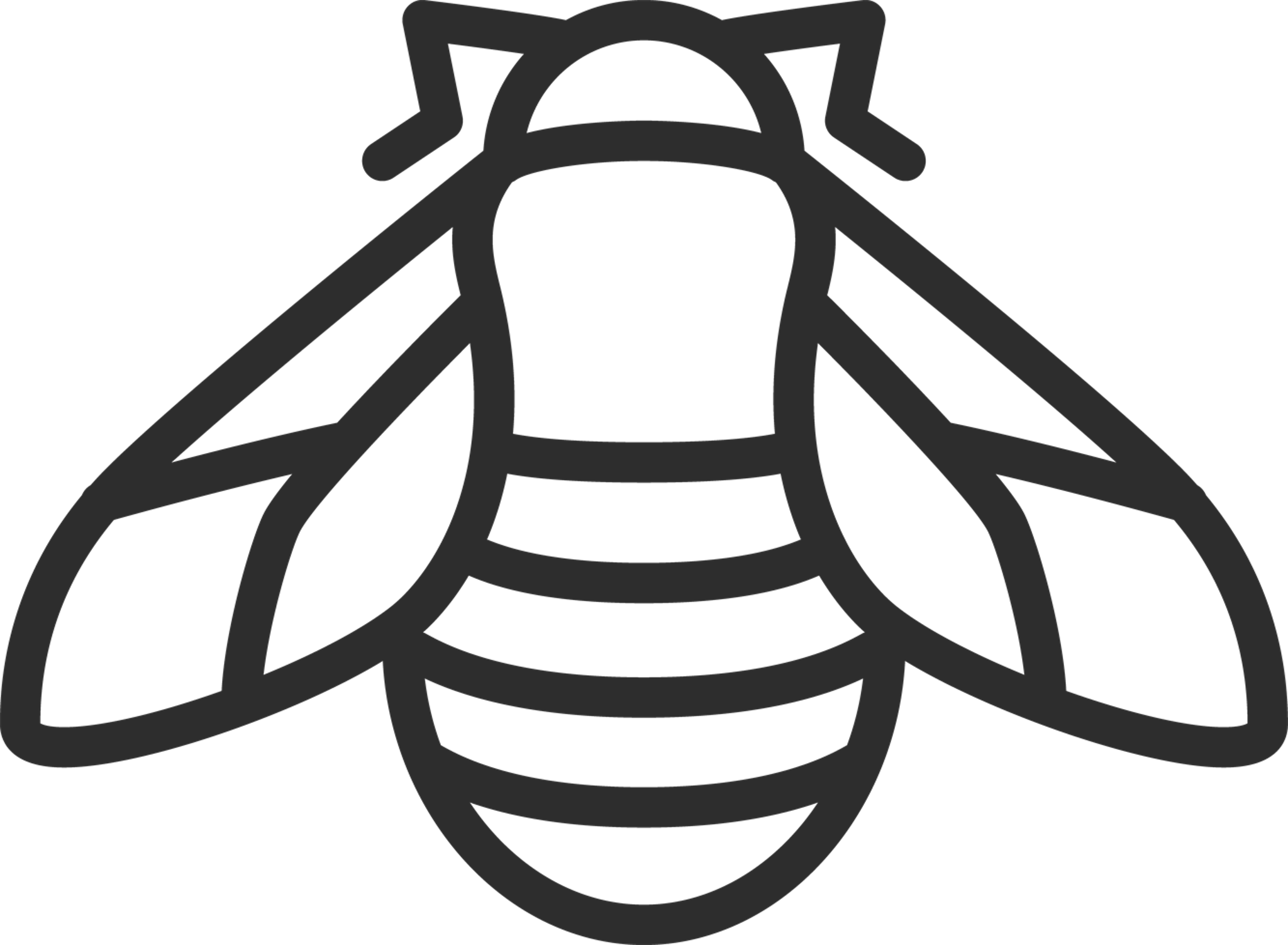 Bee Outline