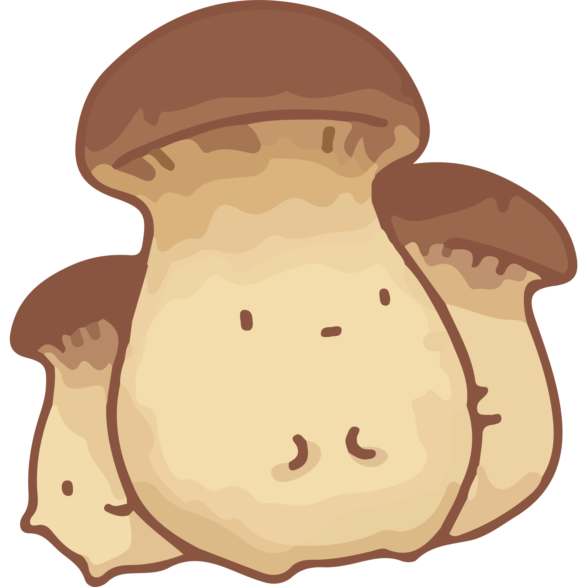 Kawaii King Oyster