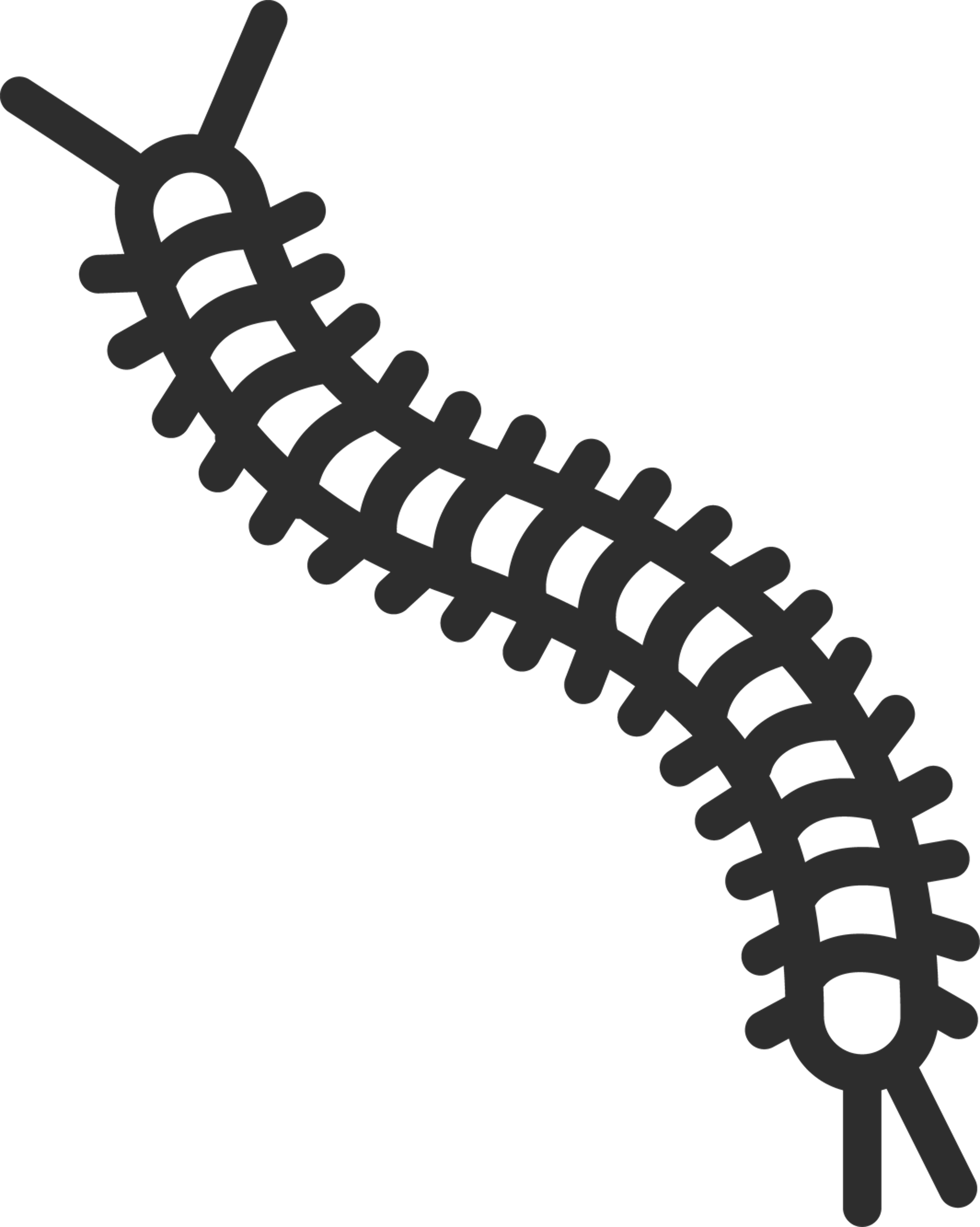 Centipede Outline