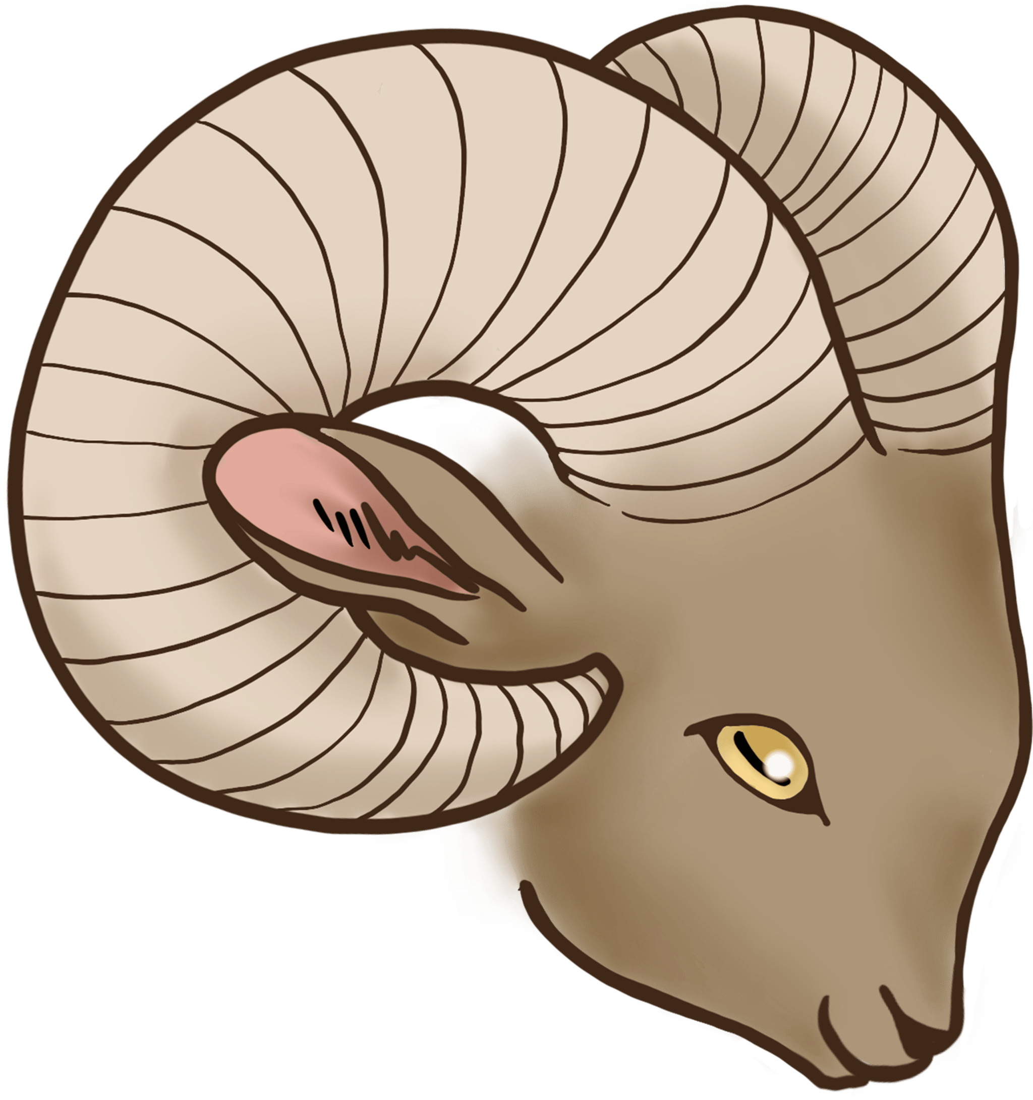 Rams Head