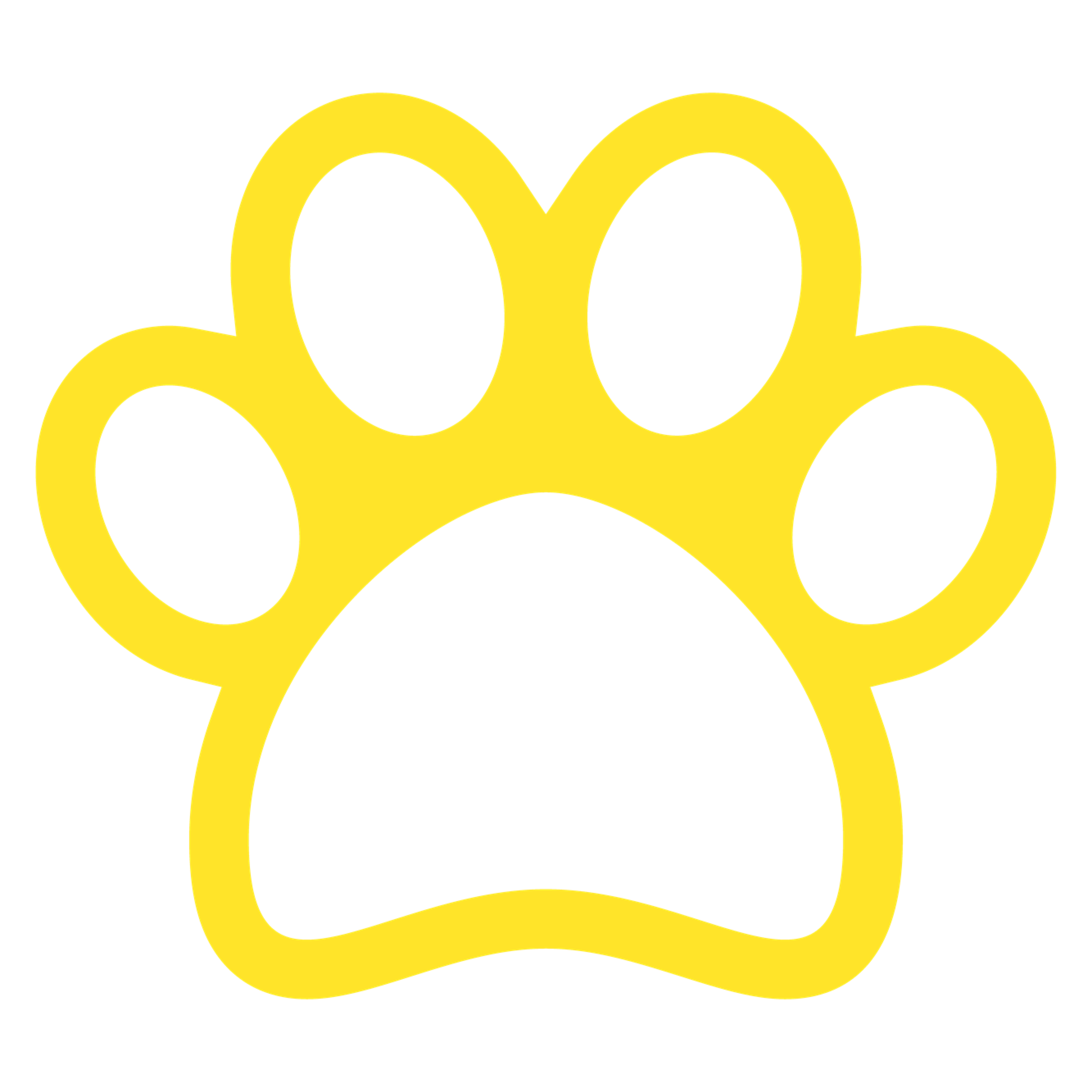 Paw Customisable