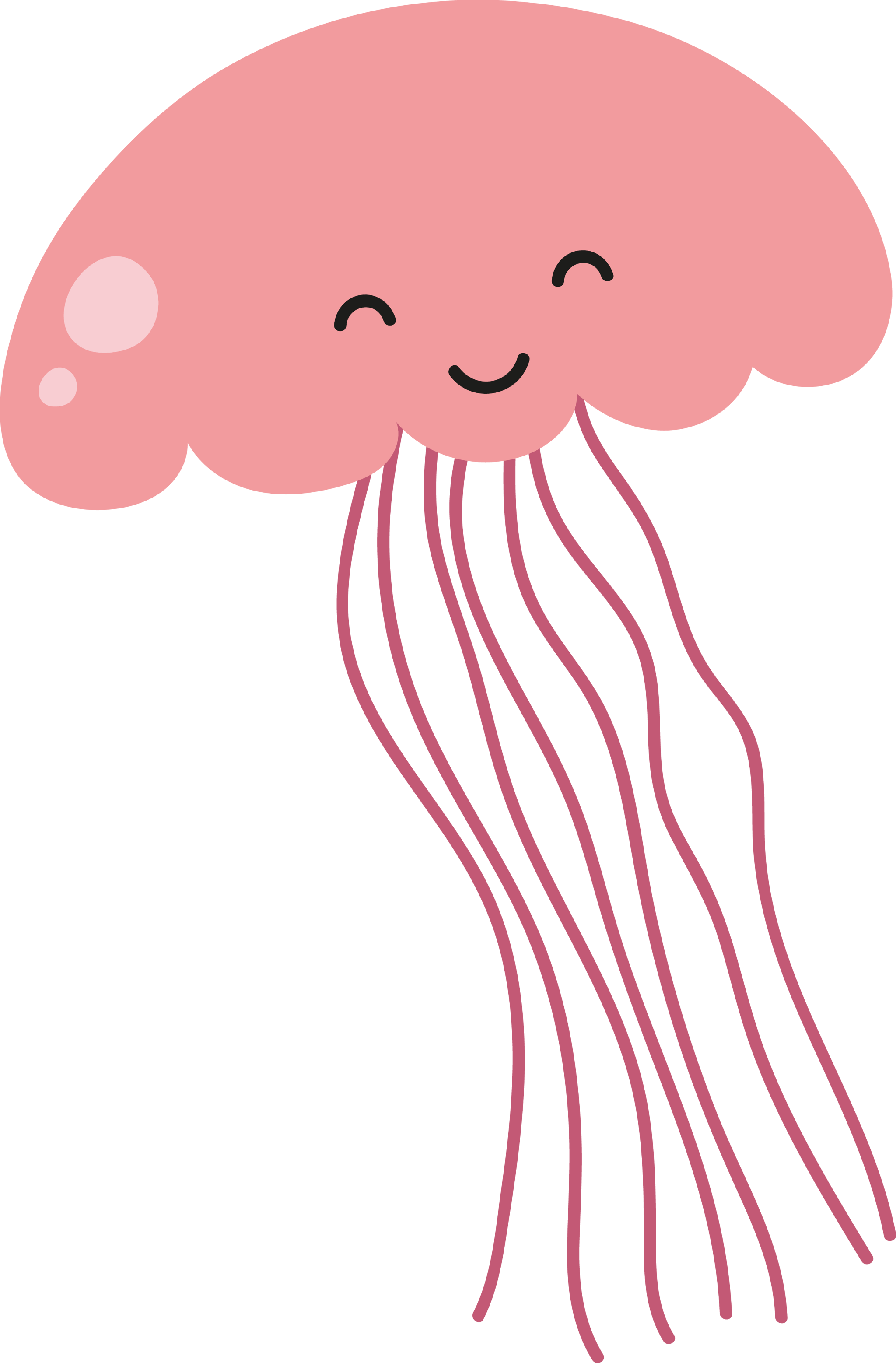 Jellyfish