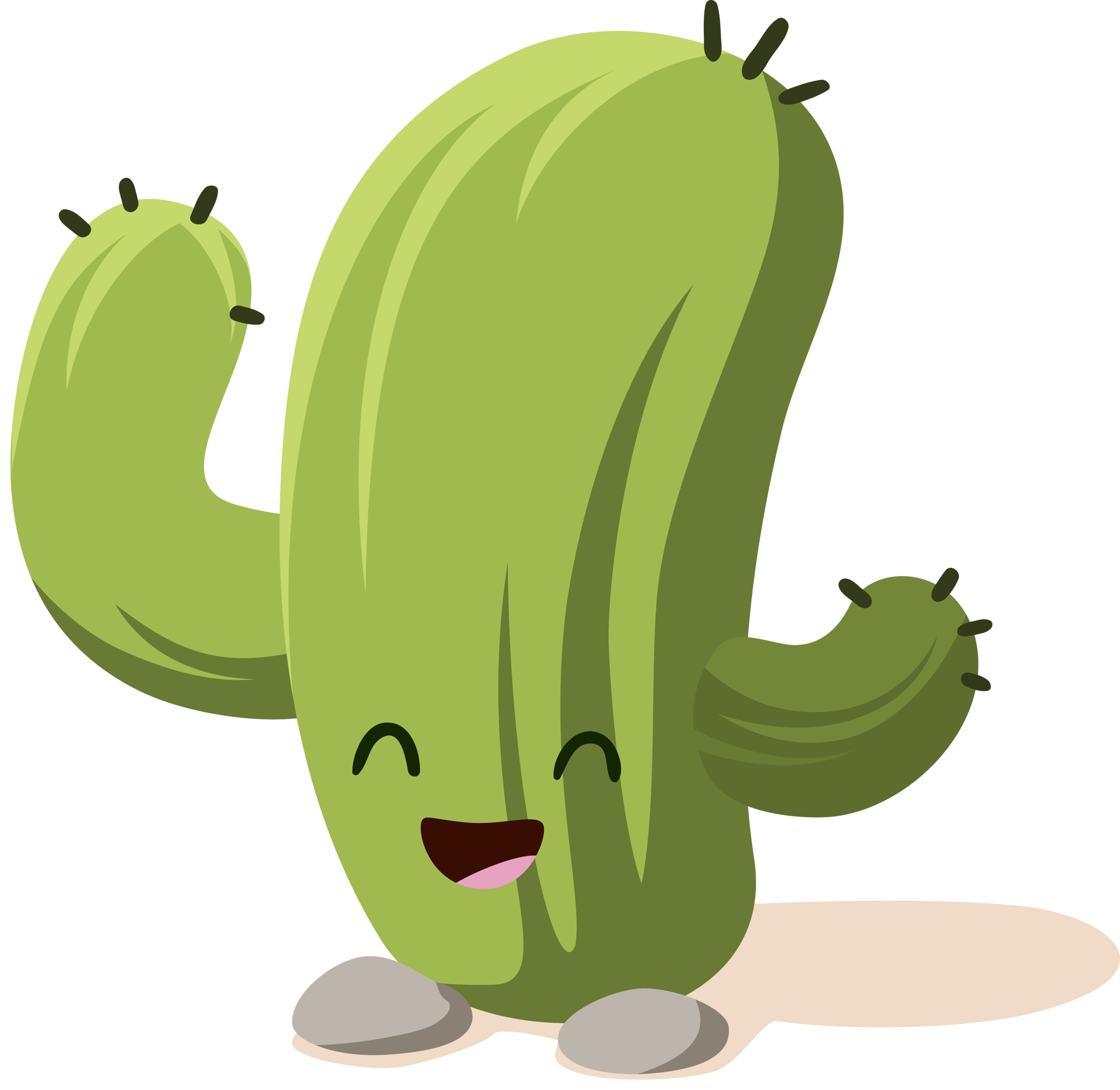 Cacti 3