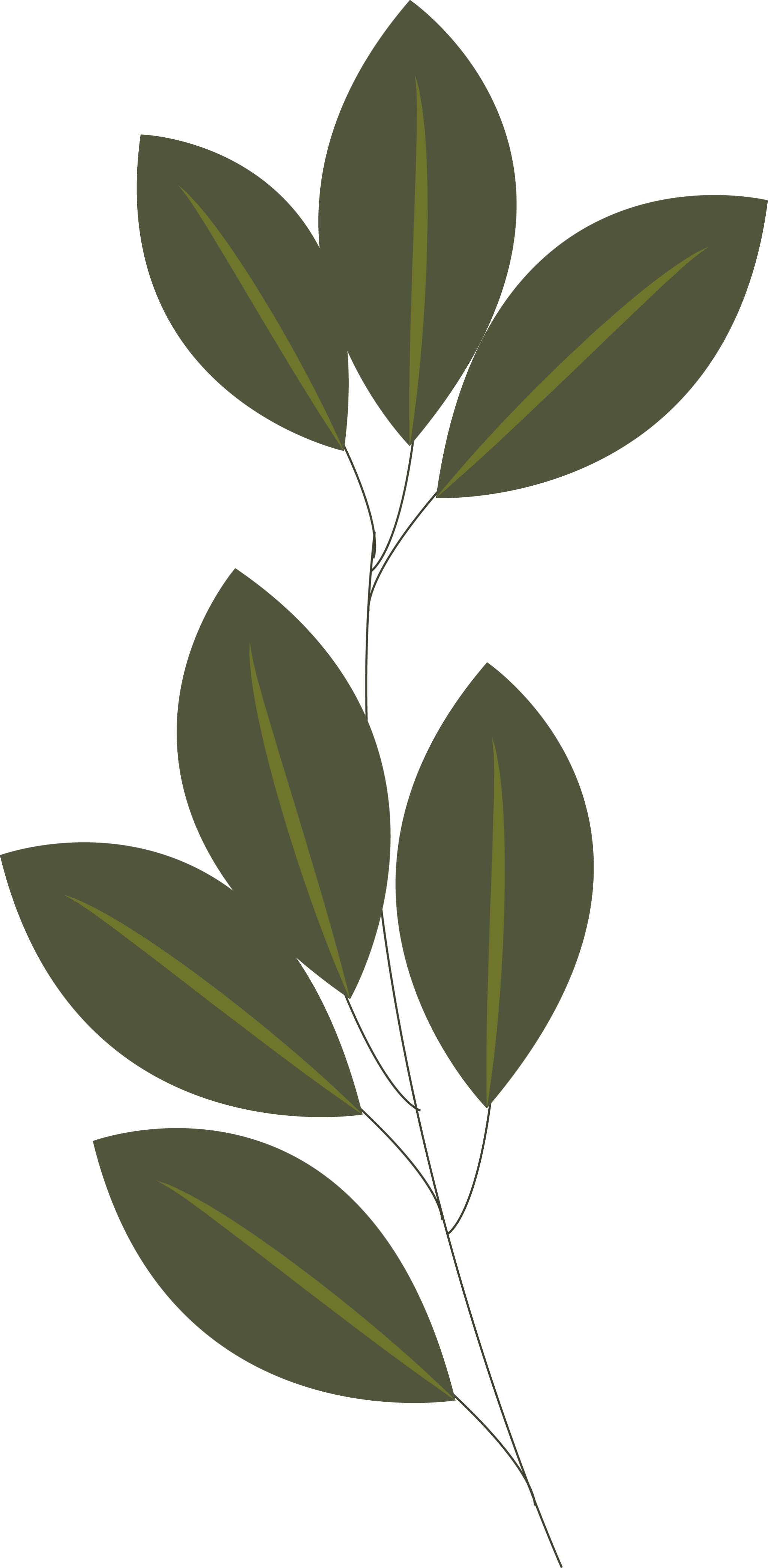 Flower 7
