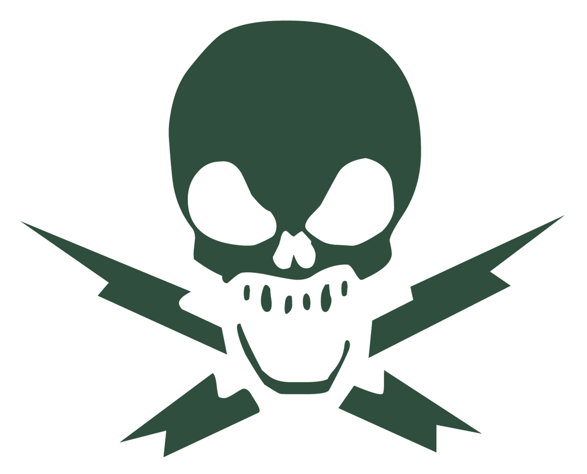 Skull with Bolts