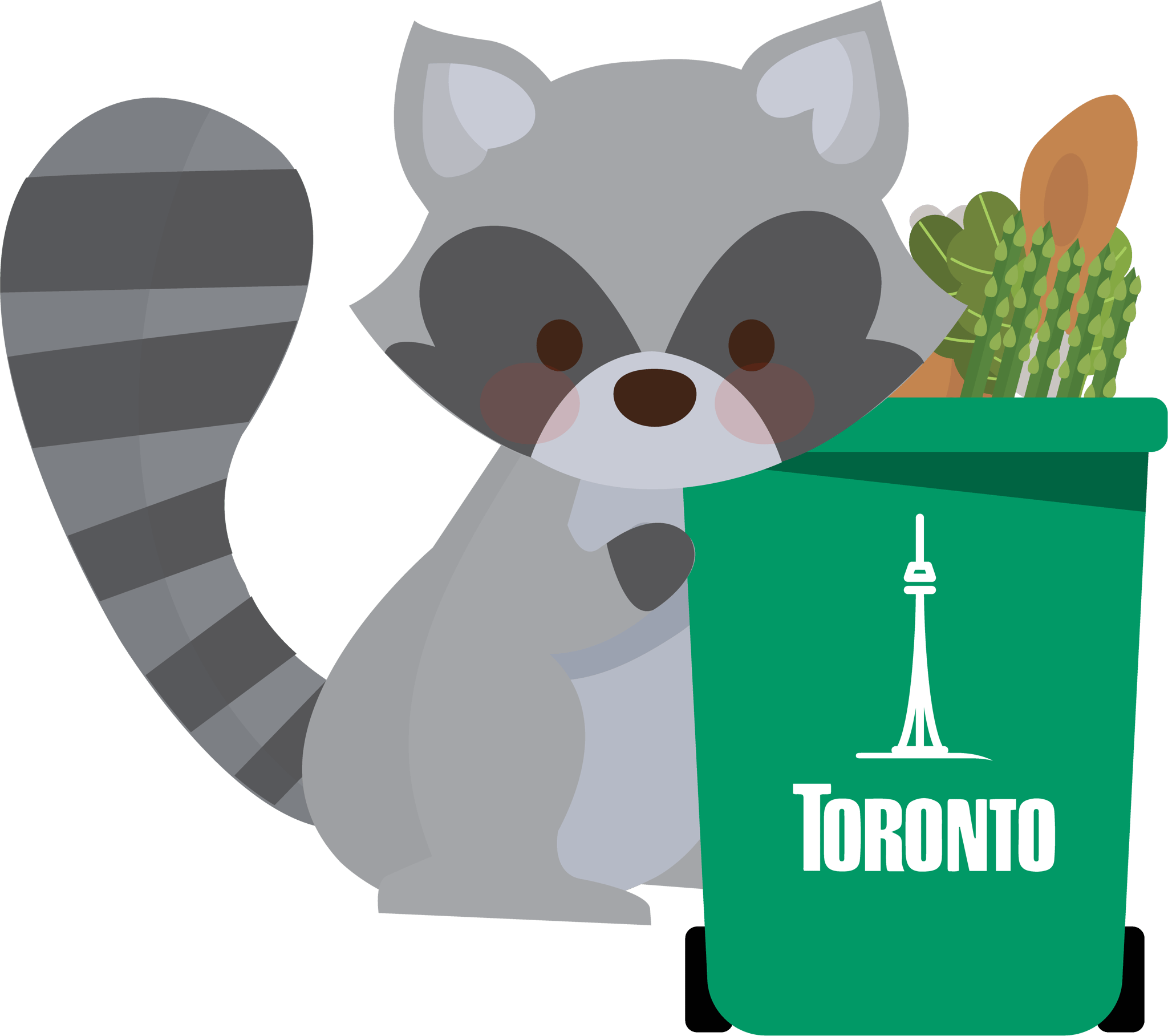 toronto-racoon.png