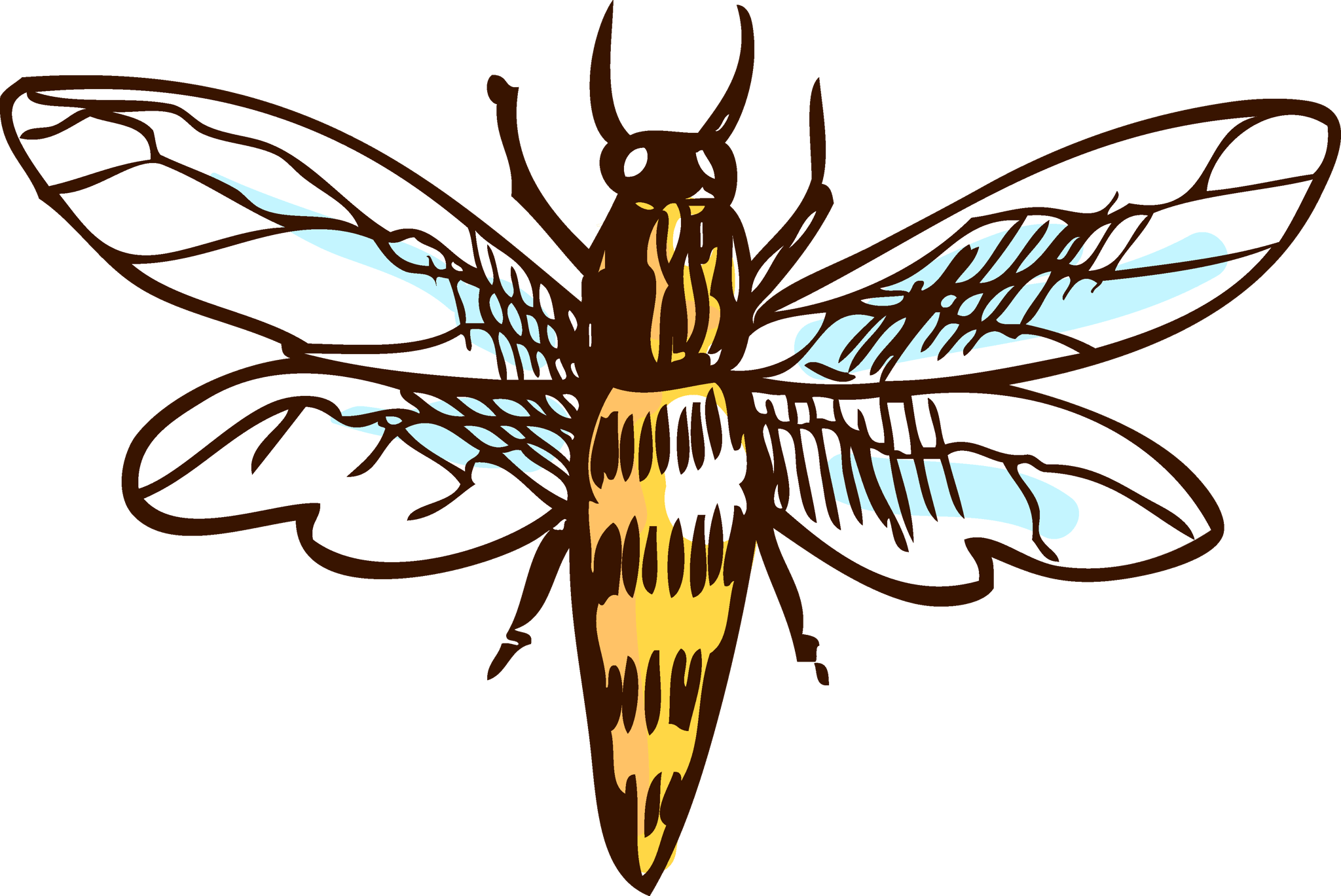 Bee Drawing 2