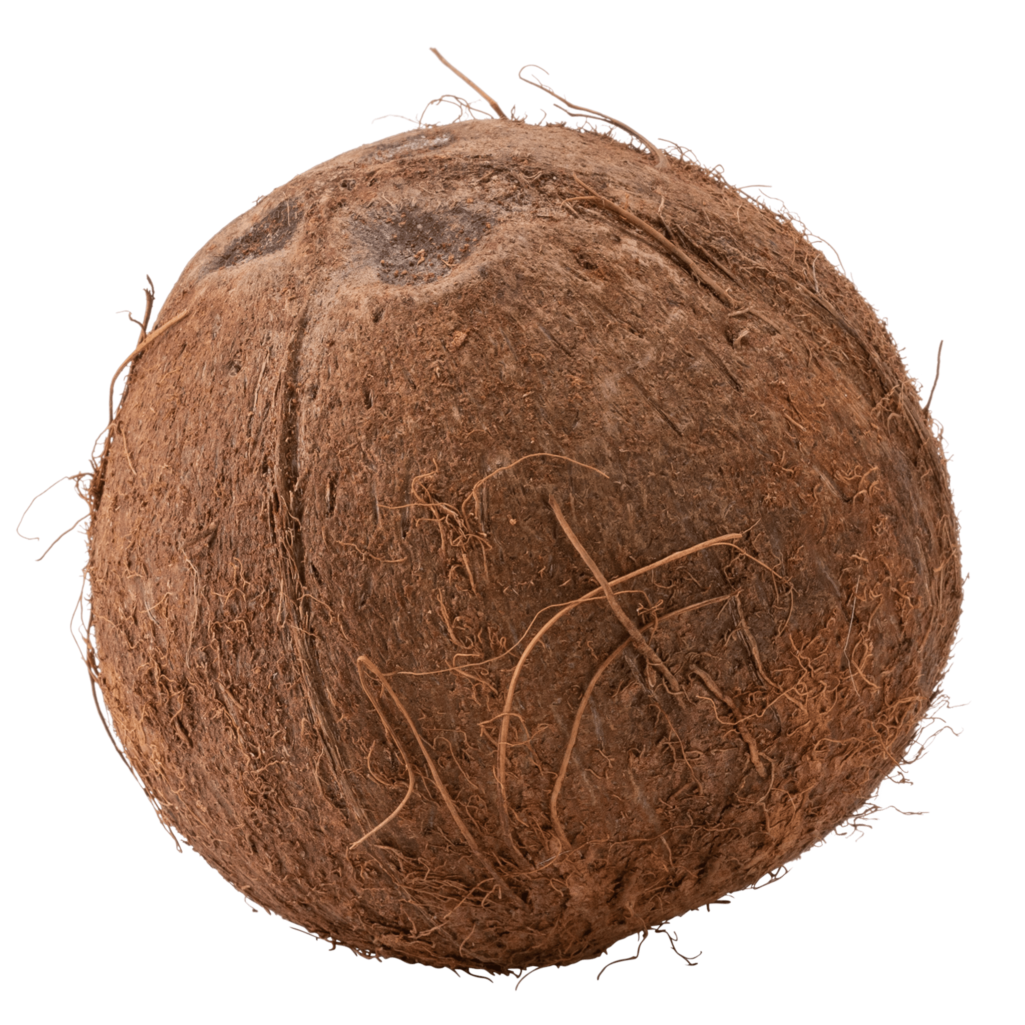 Coconut Whole