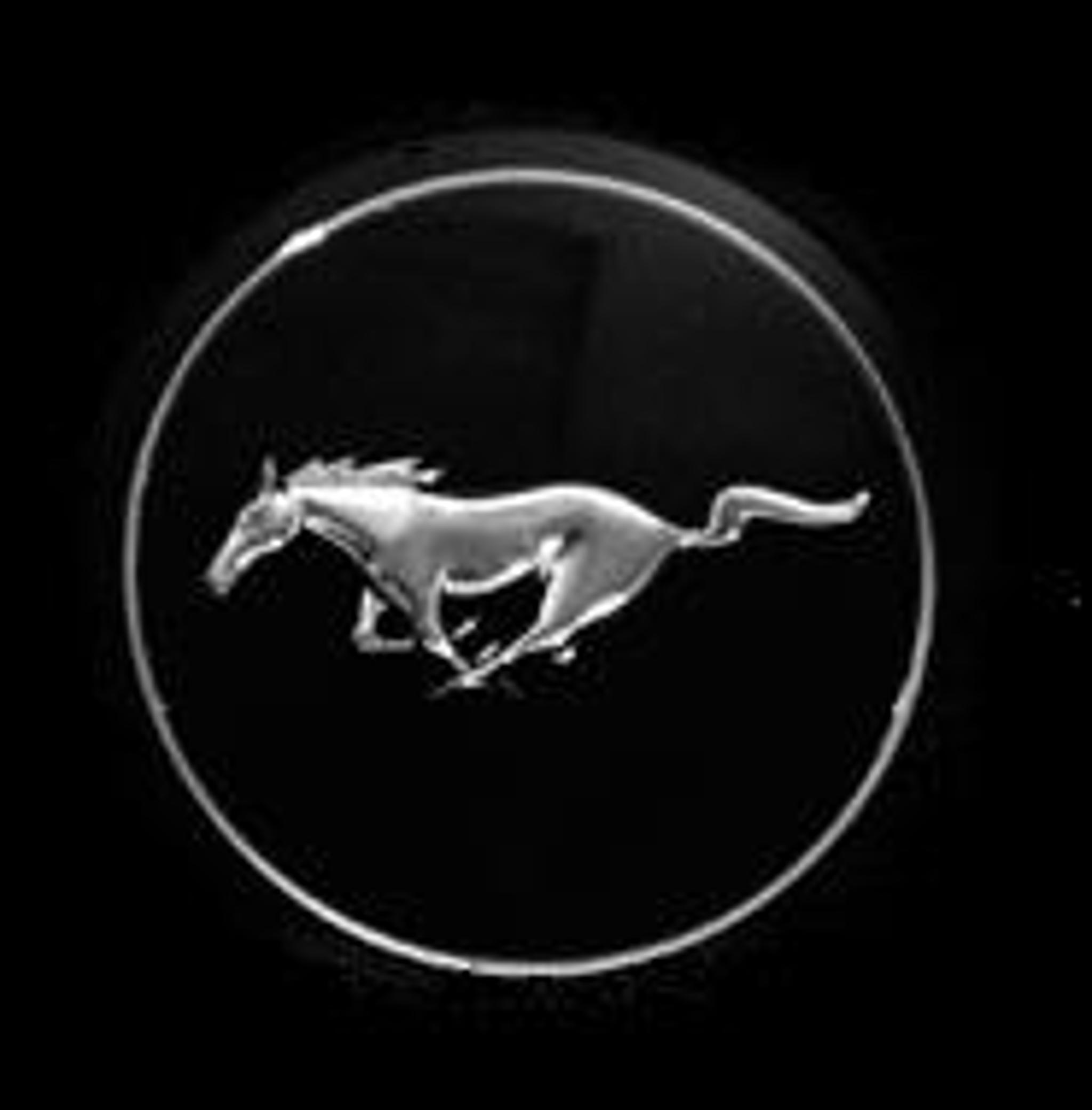 Mustang Horse Logo Circle