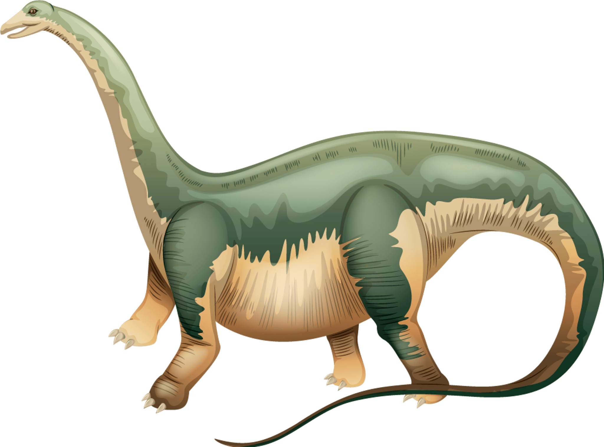 Realistic Brontosaurus Dinosaur