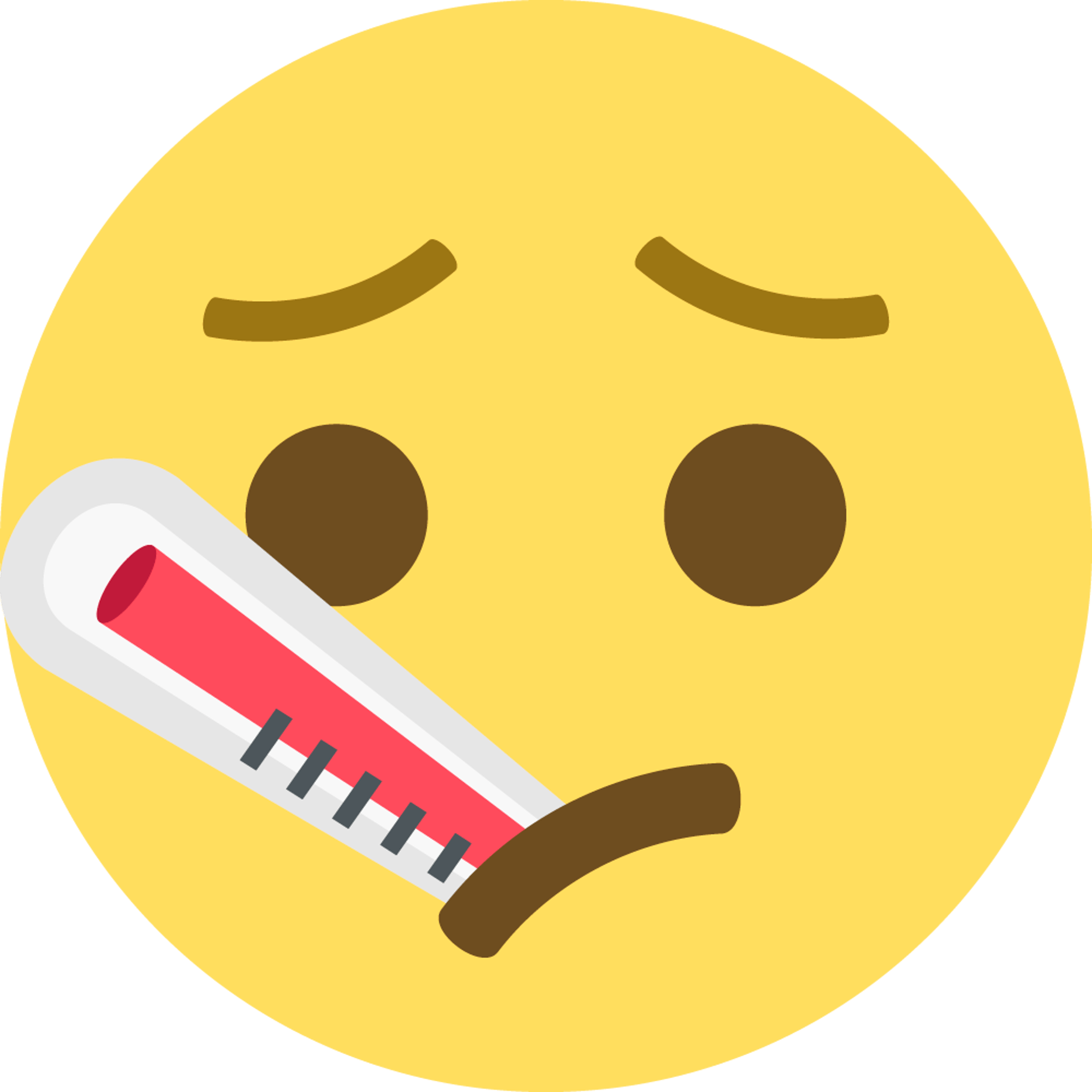 Thermometer