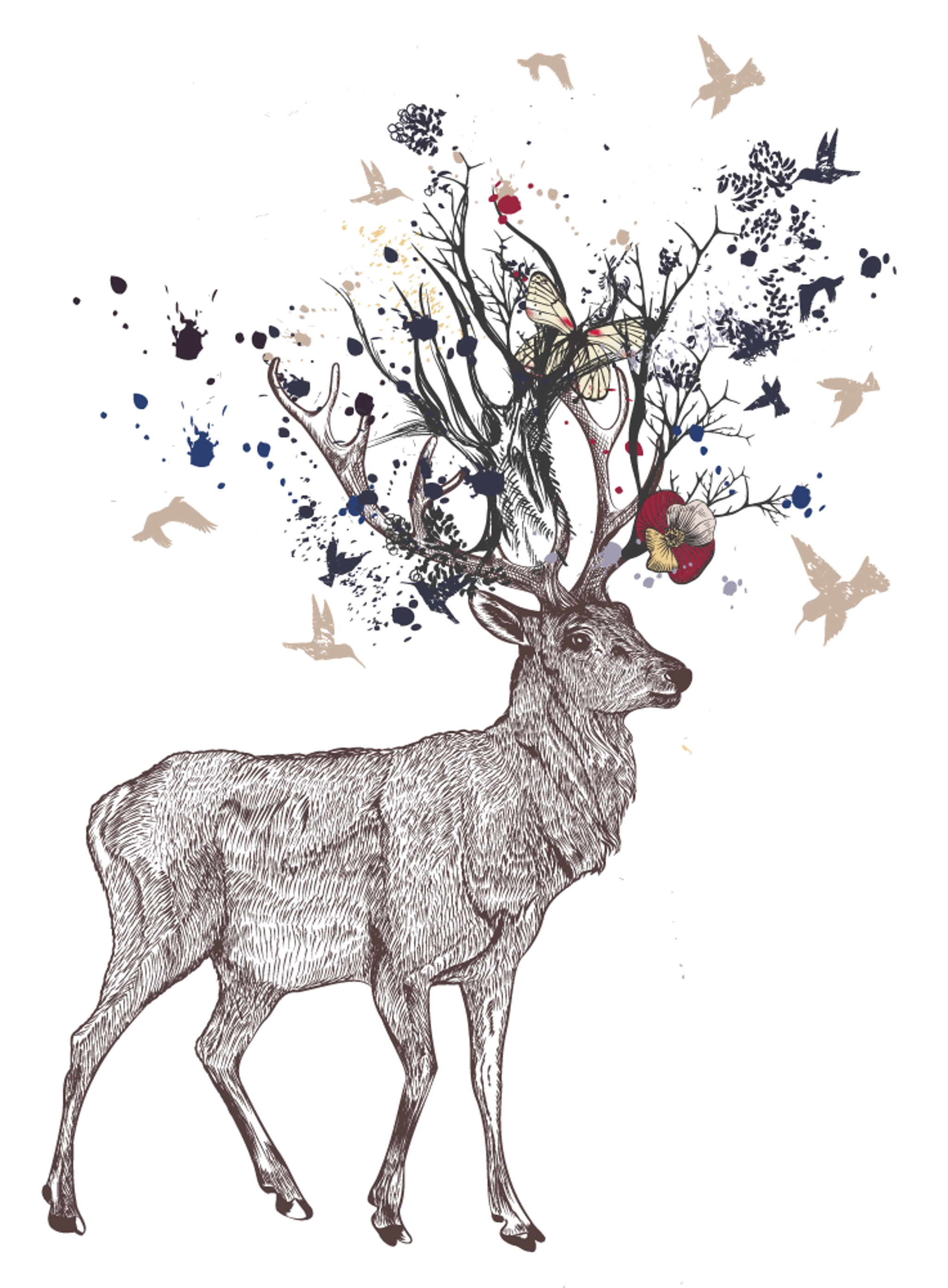 moose_Artboard 1.png