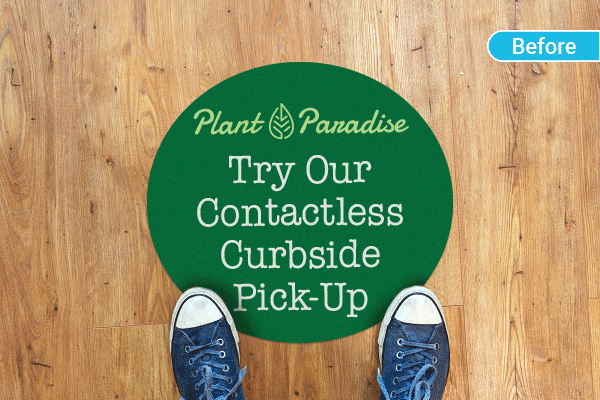 Clearly communicate your new services, from the ground up