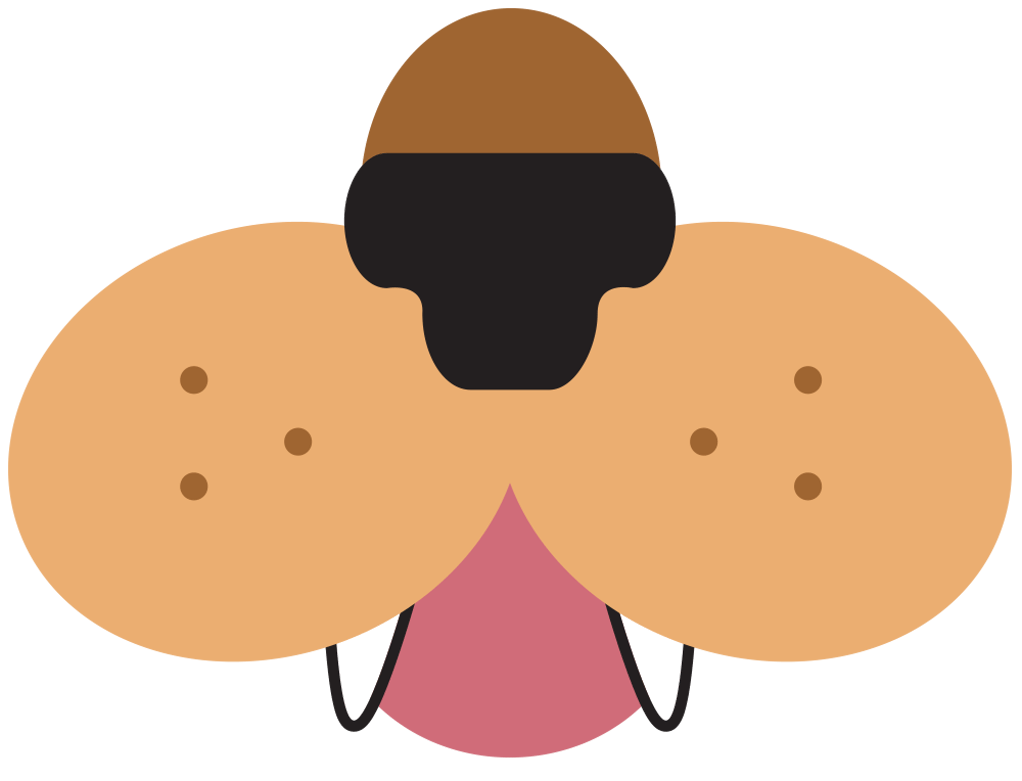 Lion Face