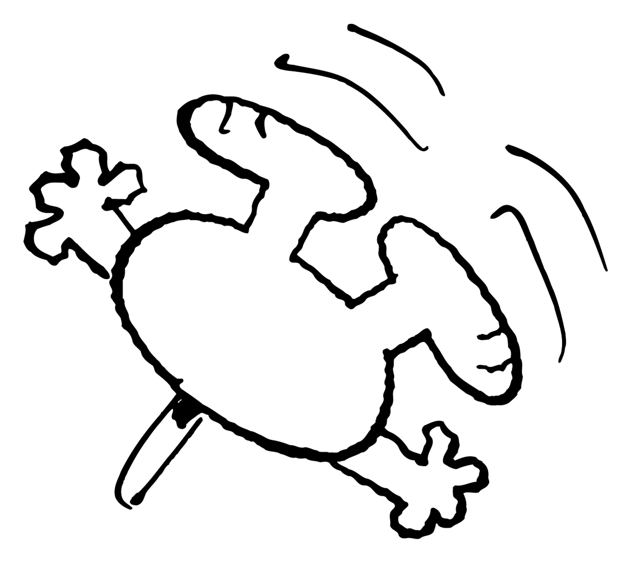 SN_5