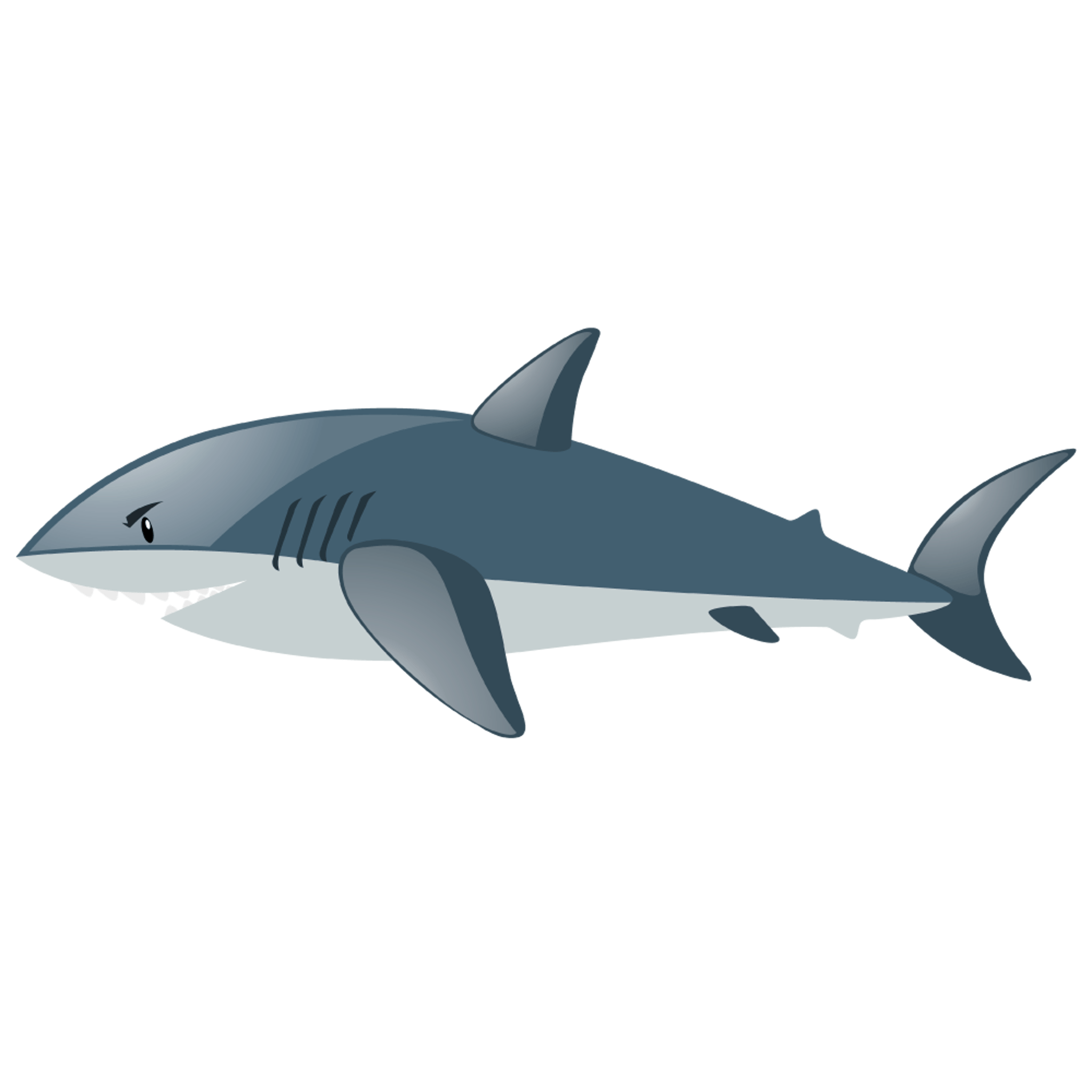 Shark 2