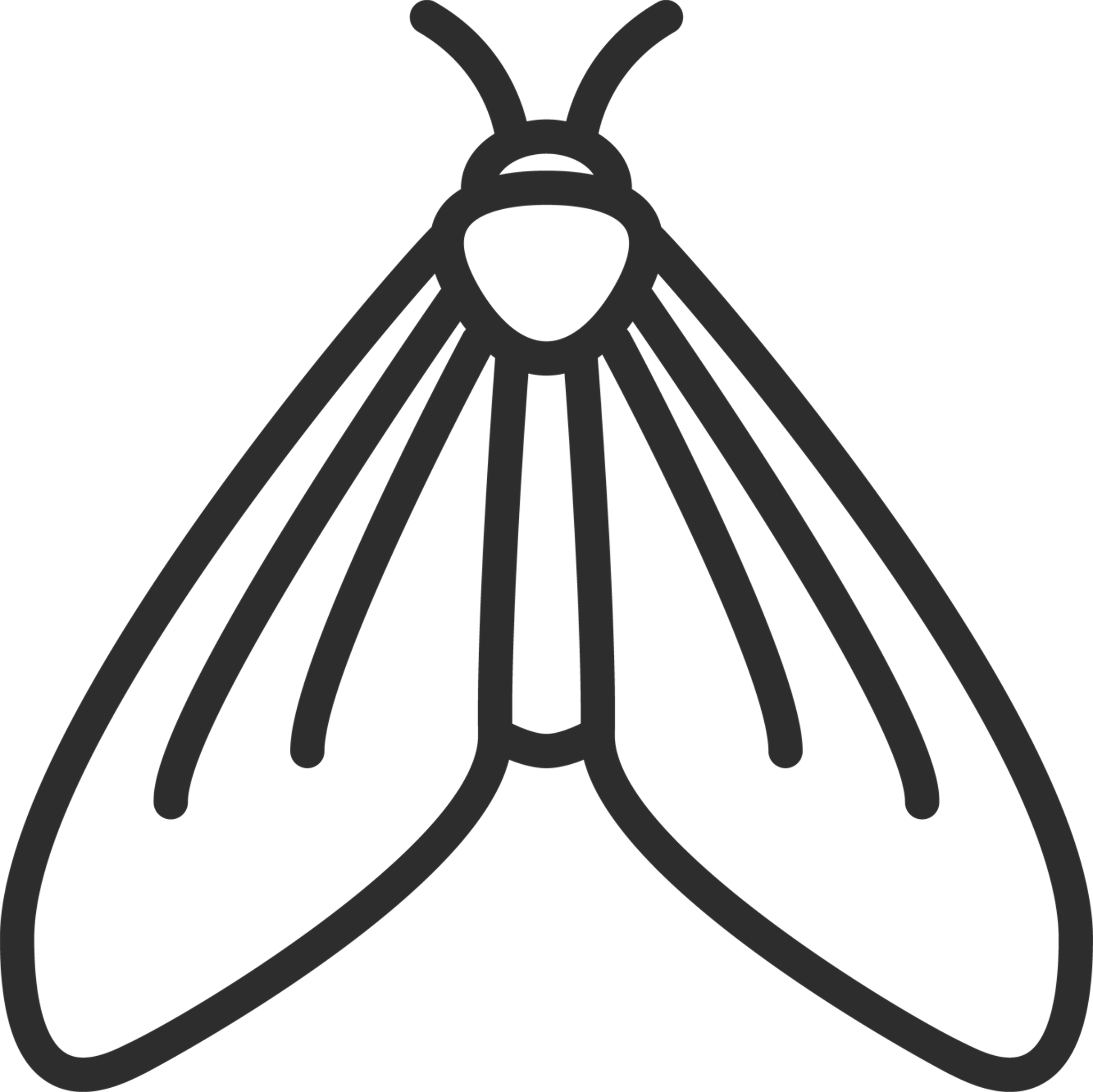 Moth Outline