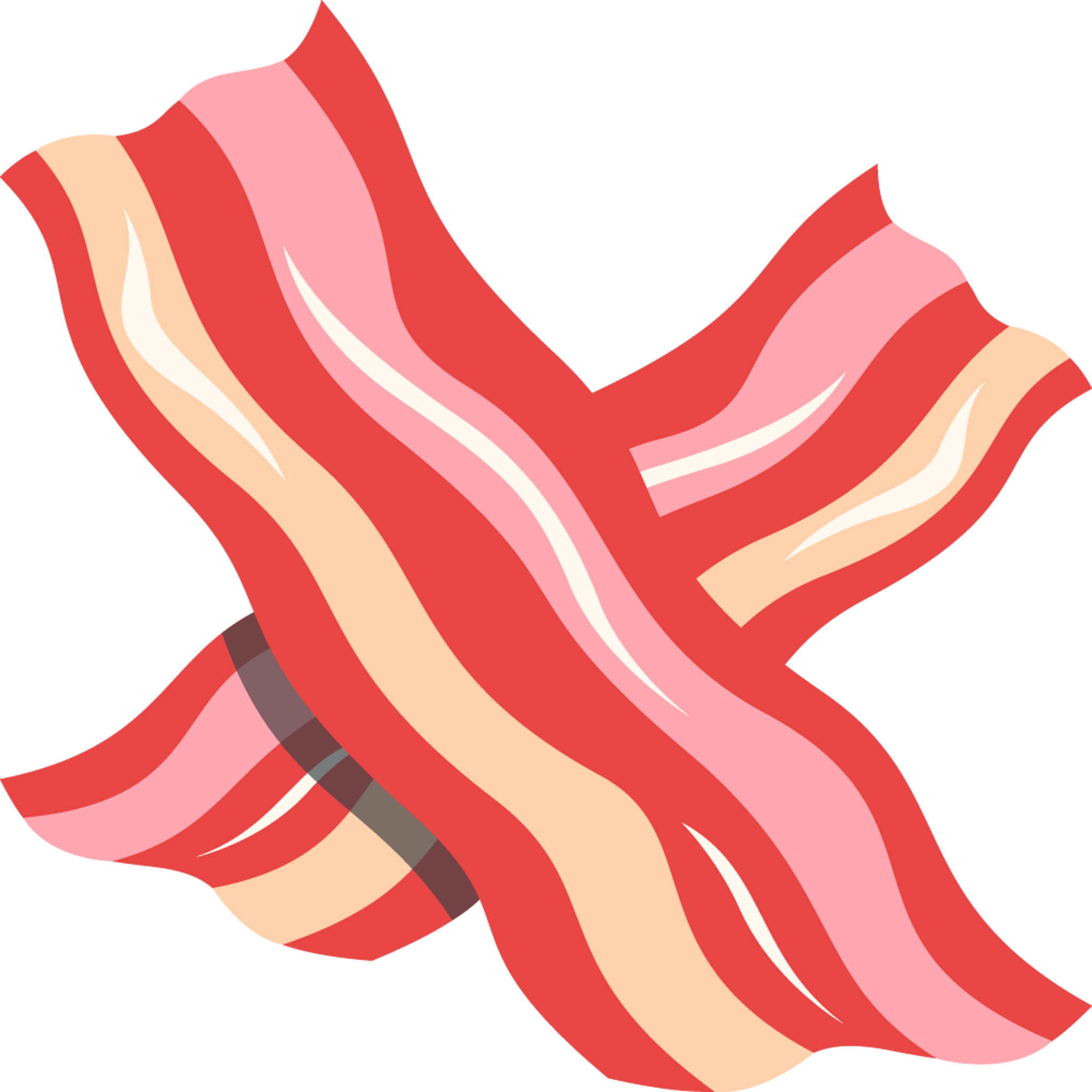 Bacon