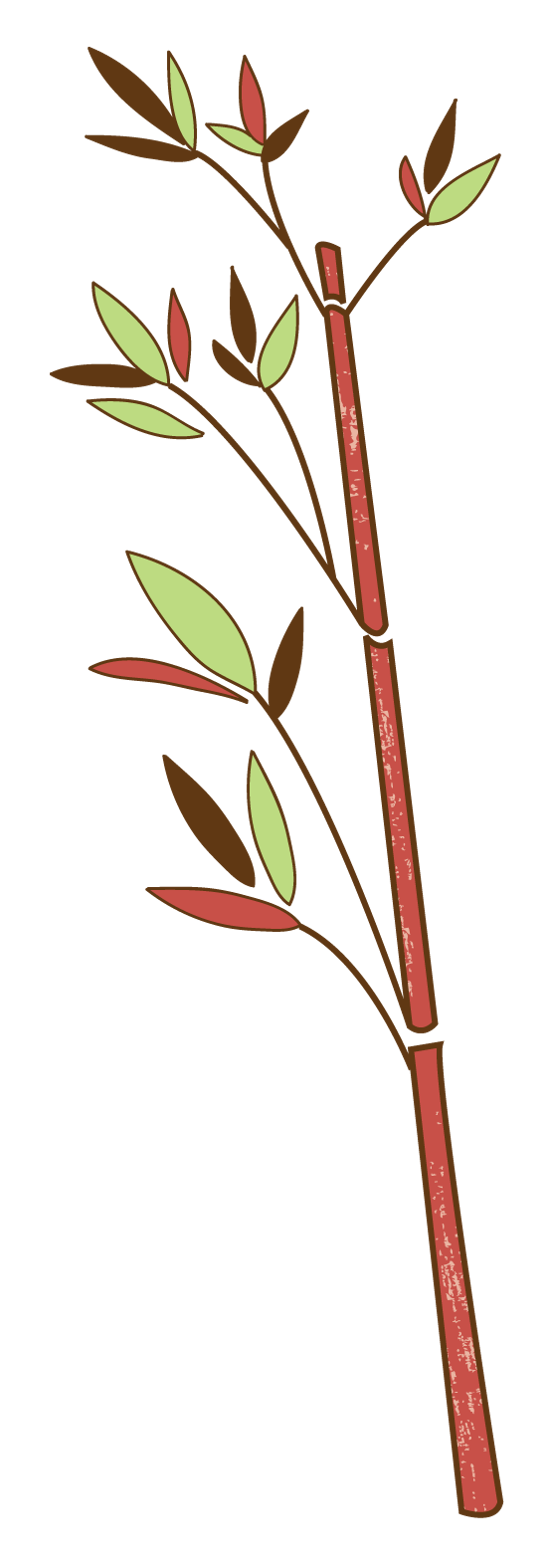 bamboo