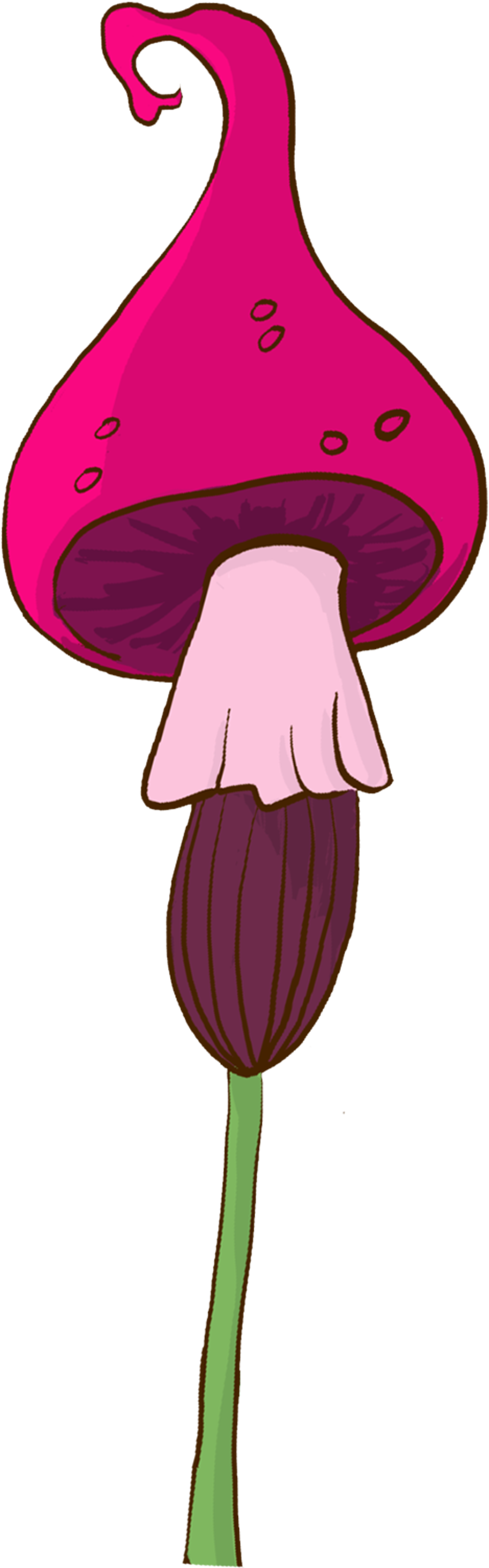 Funky Pink Mushroom