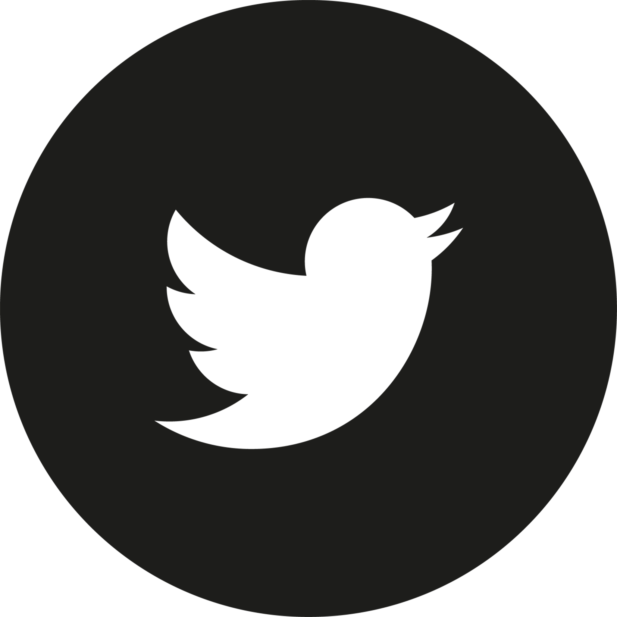 Twitter Solid