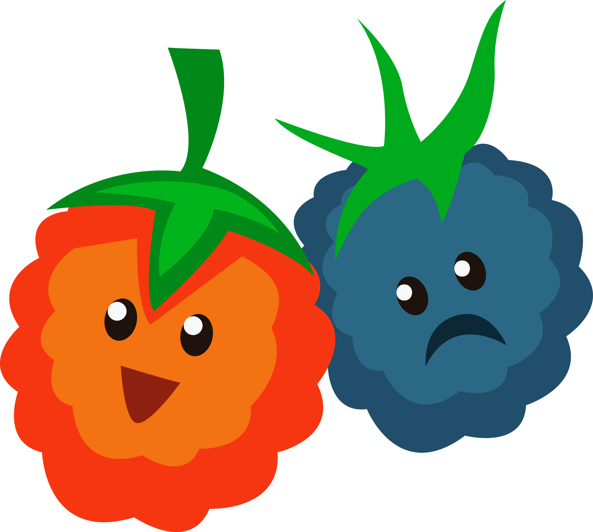 Berries