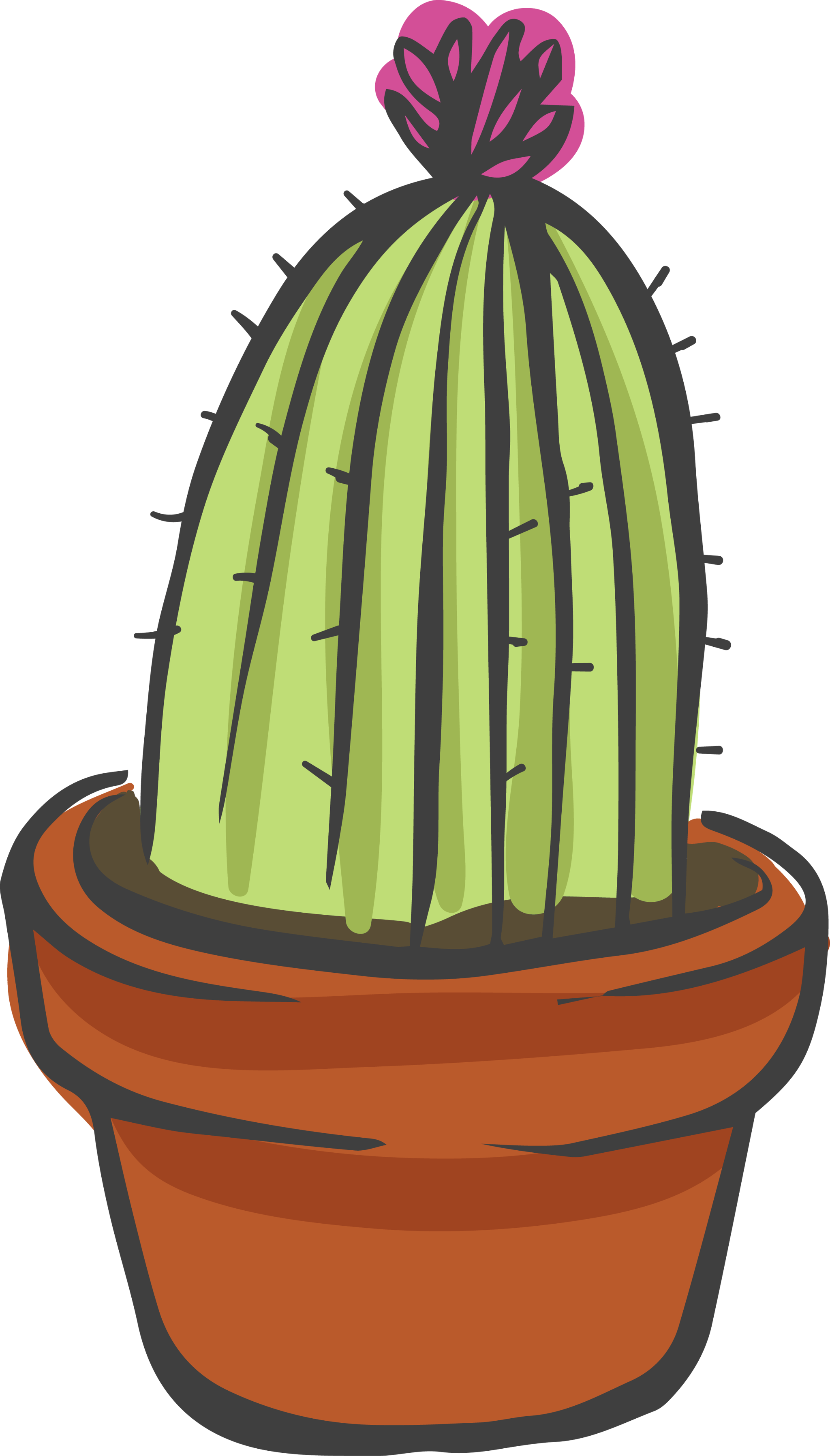 Cacti 3