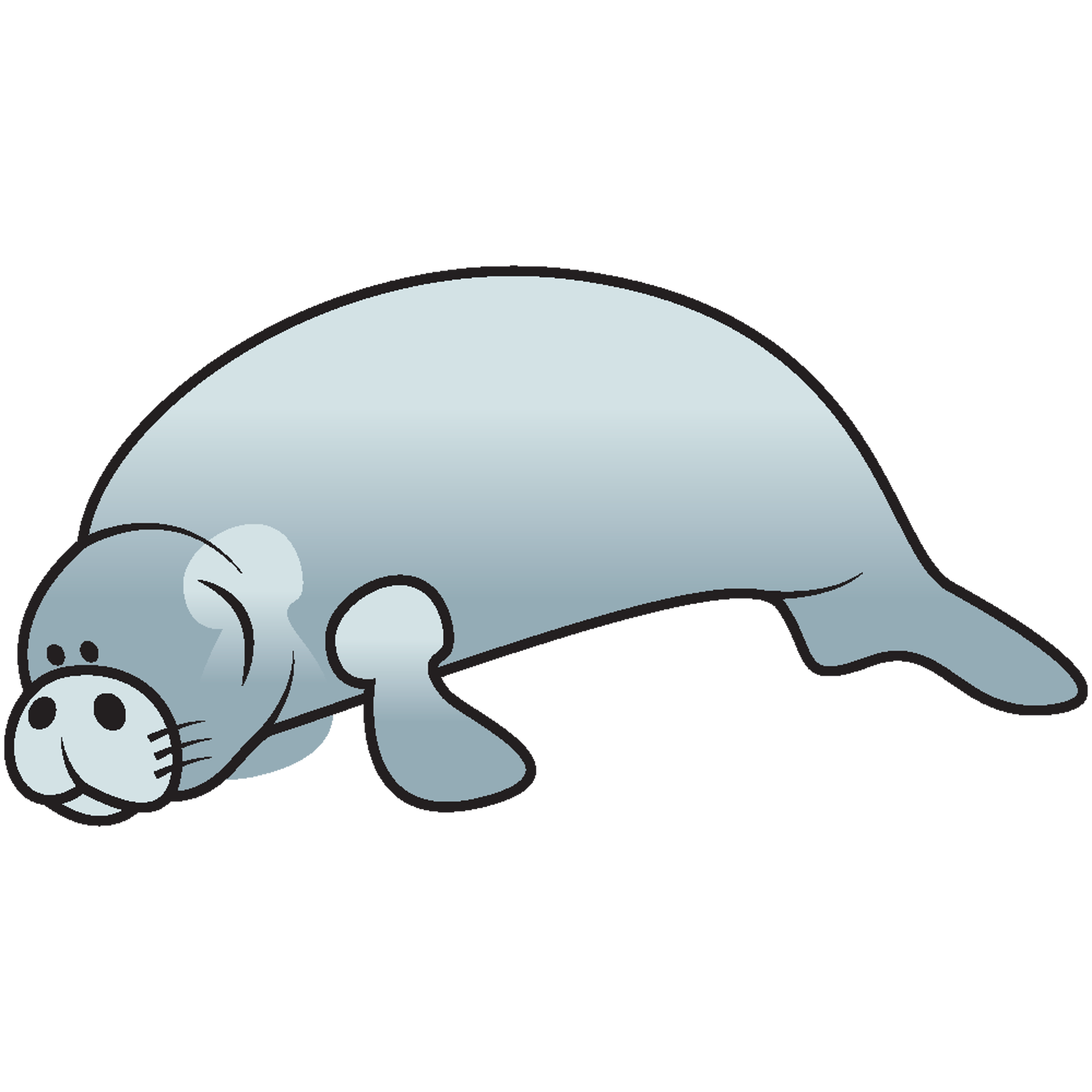 Dopey Manatee