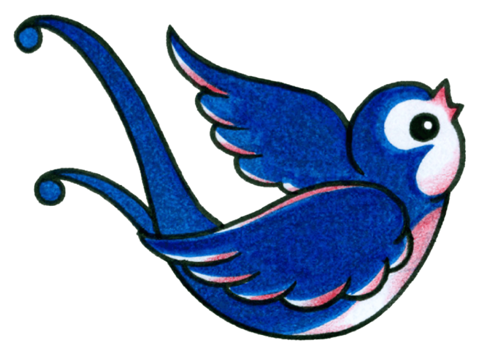 swallowblue