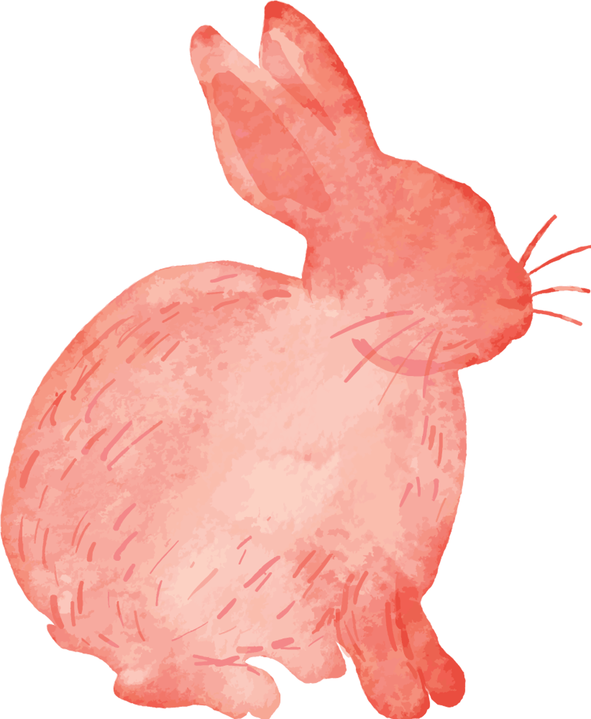 Watercolor Bunny