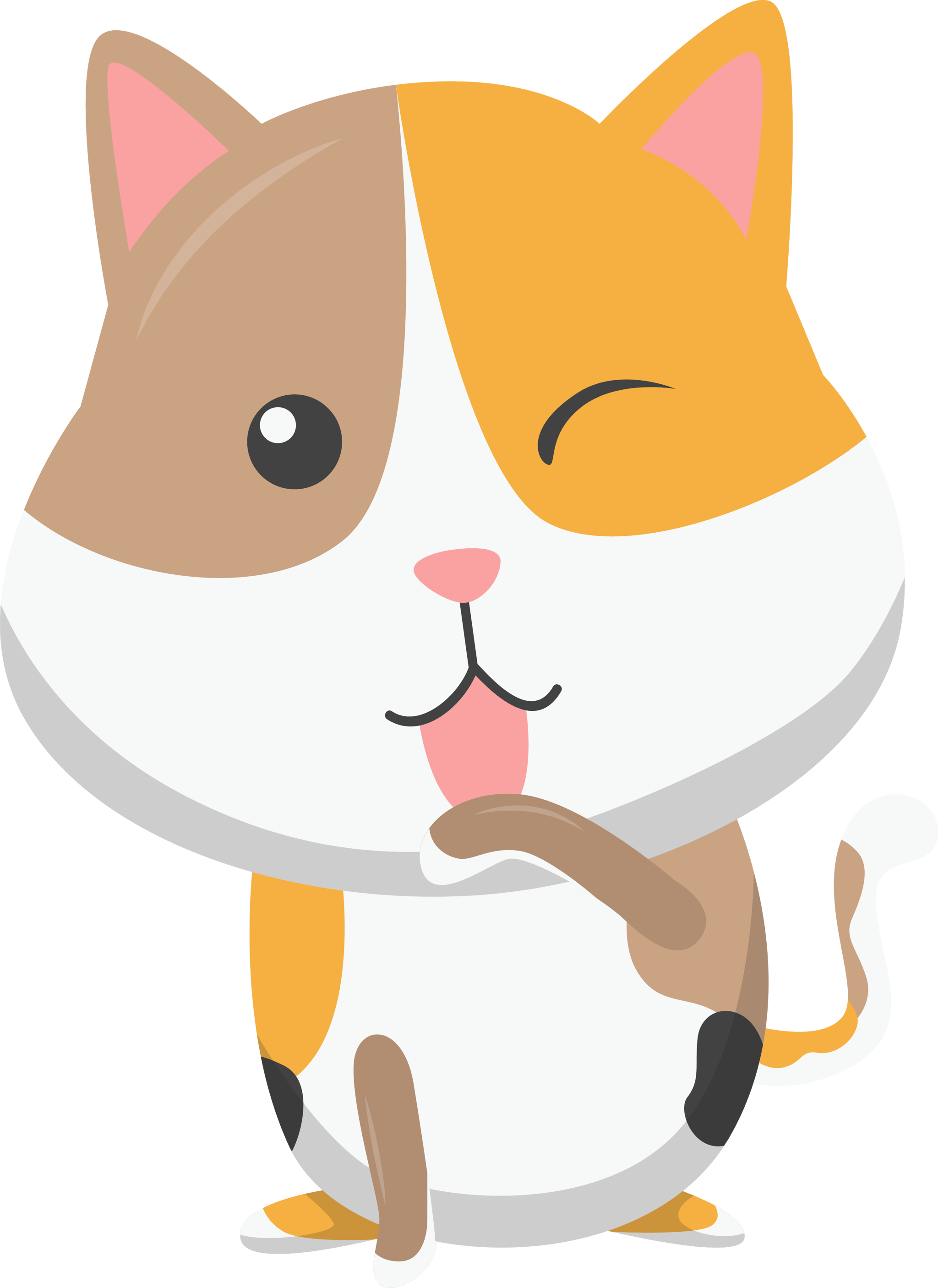 Cute Cat