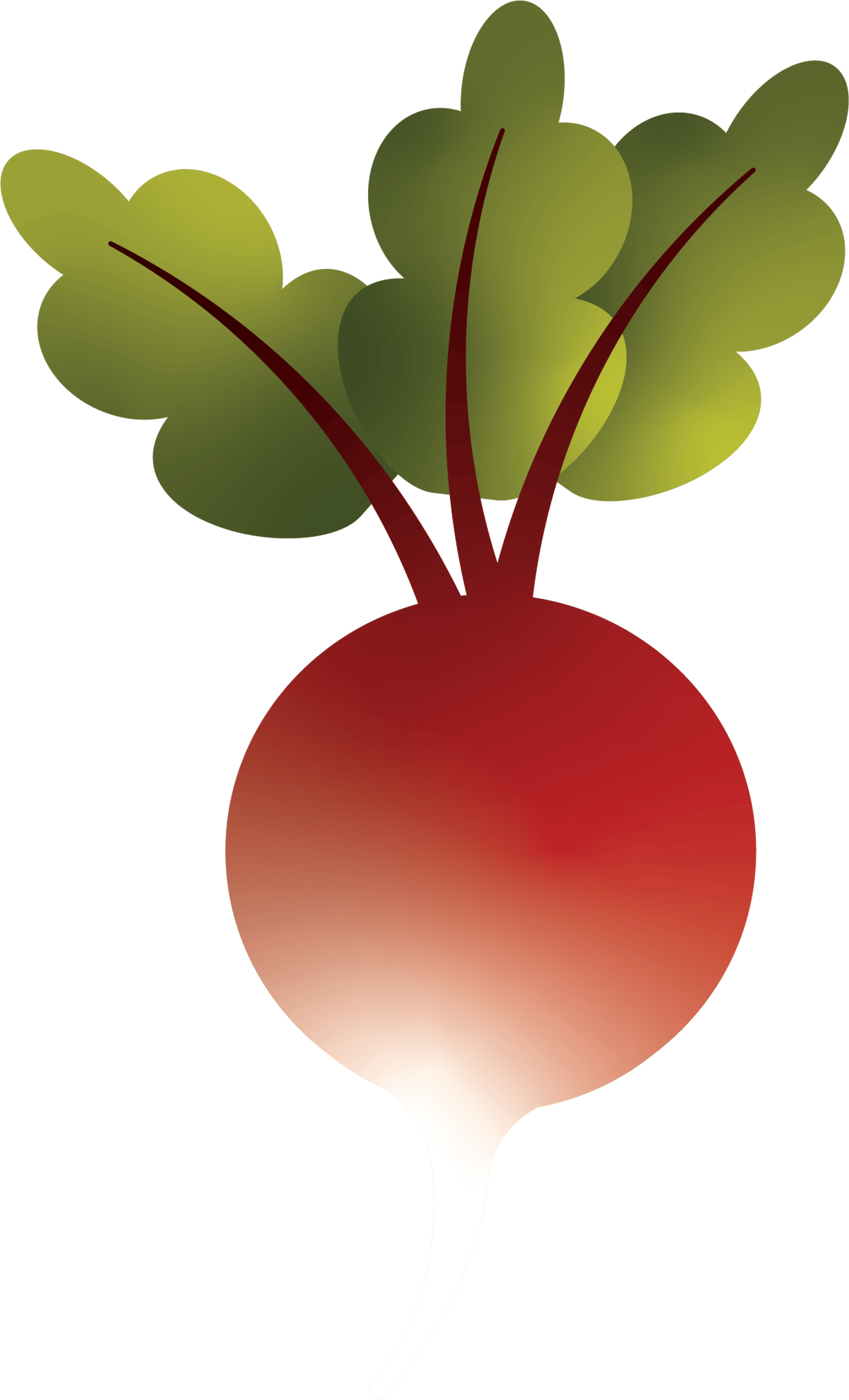 Beets Style 2