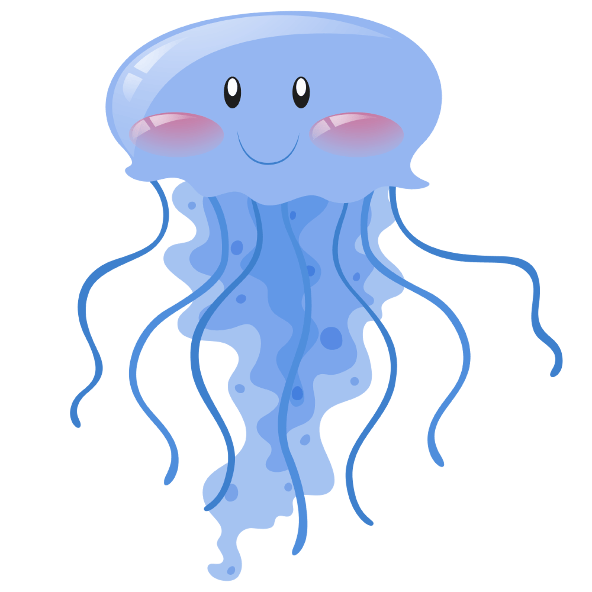 JellyFish