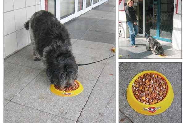 creative ad, effective ad, location, wall decal ad, floor decal ad