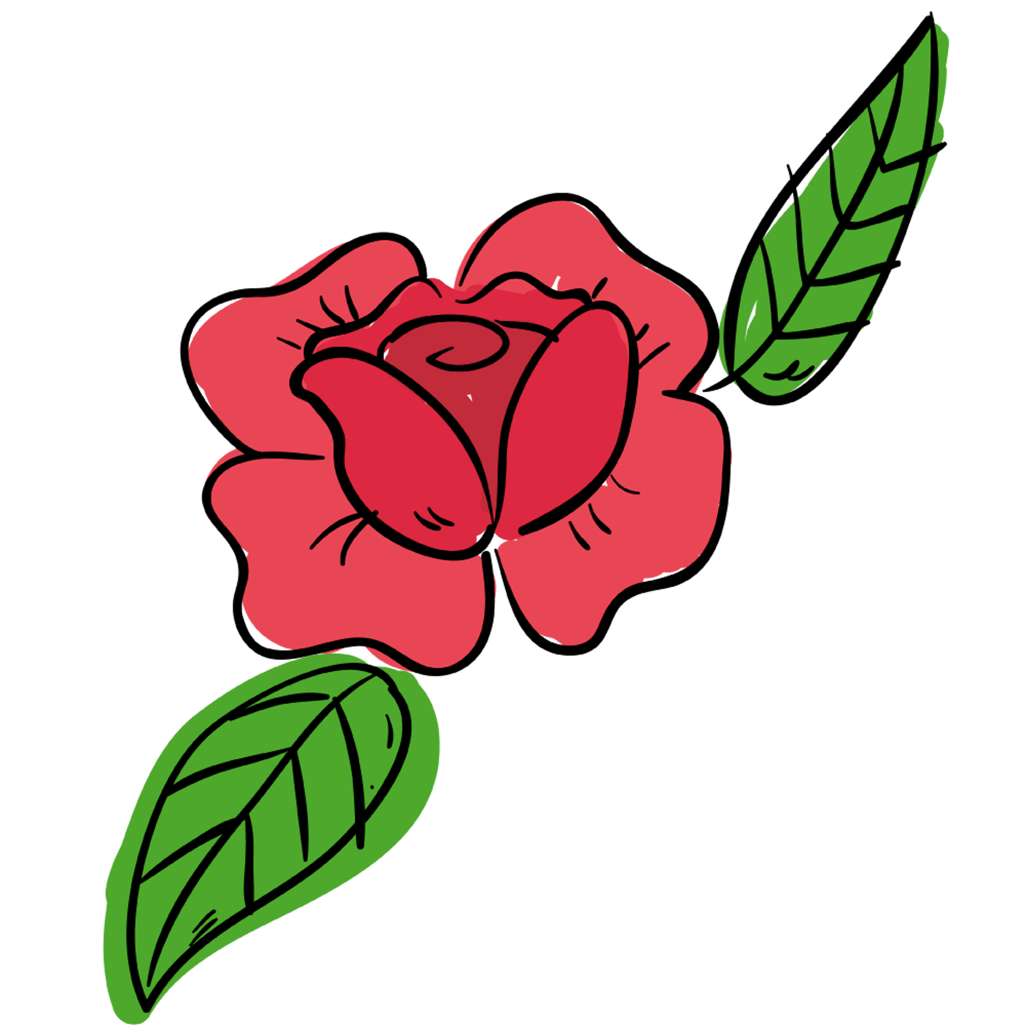 Line Drawn Rose Flower