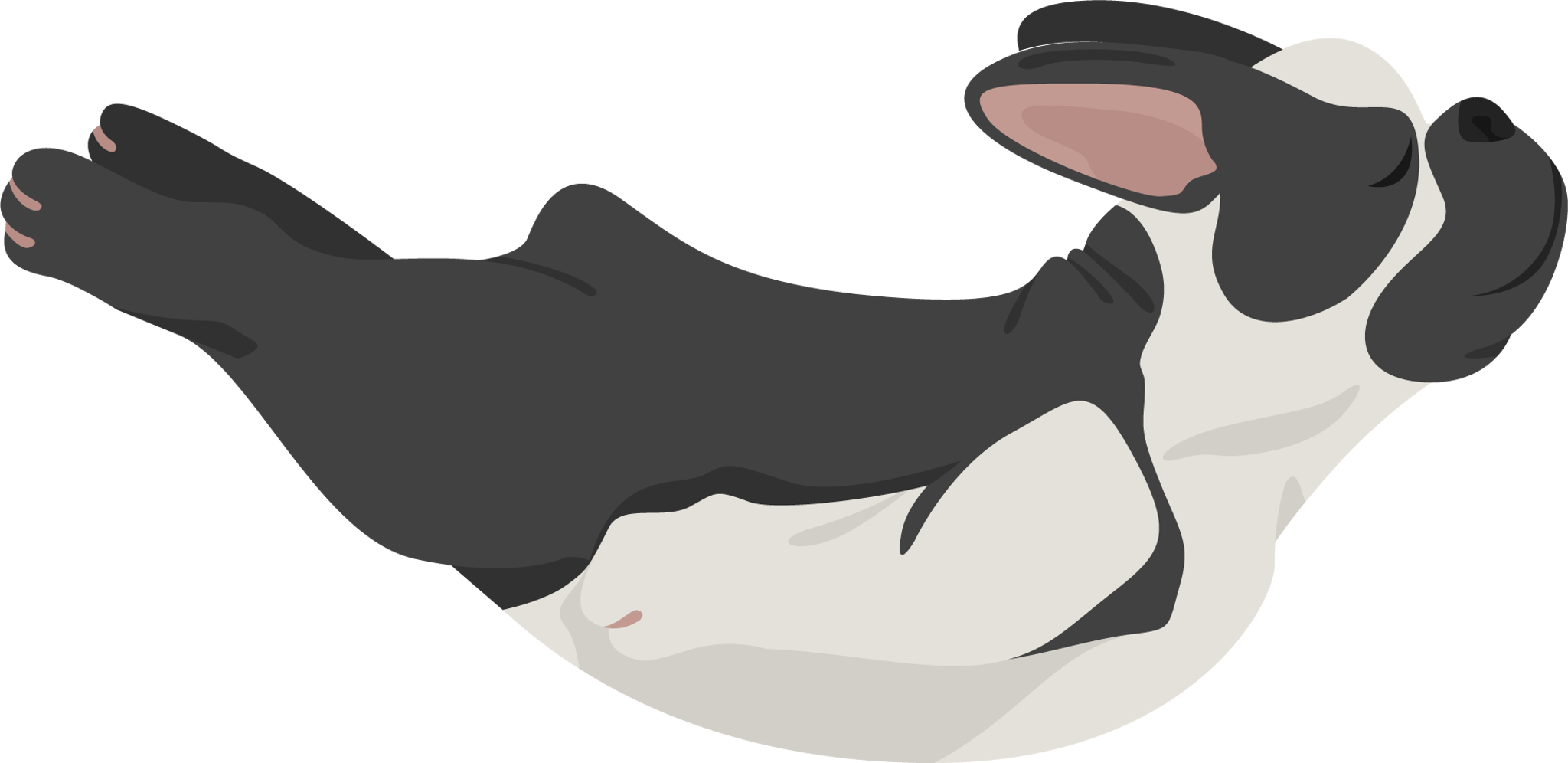 Dog Belly Single
