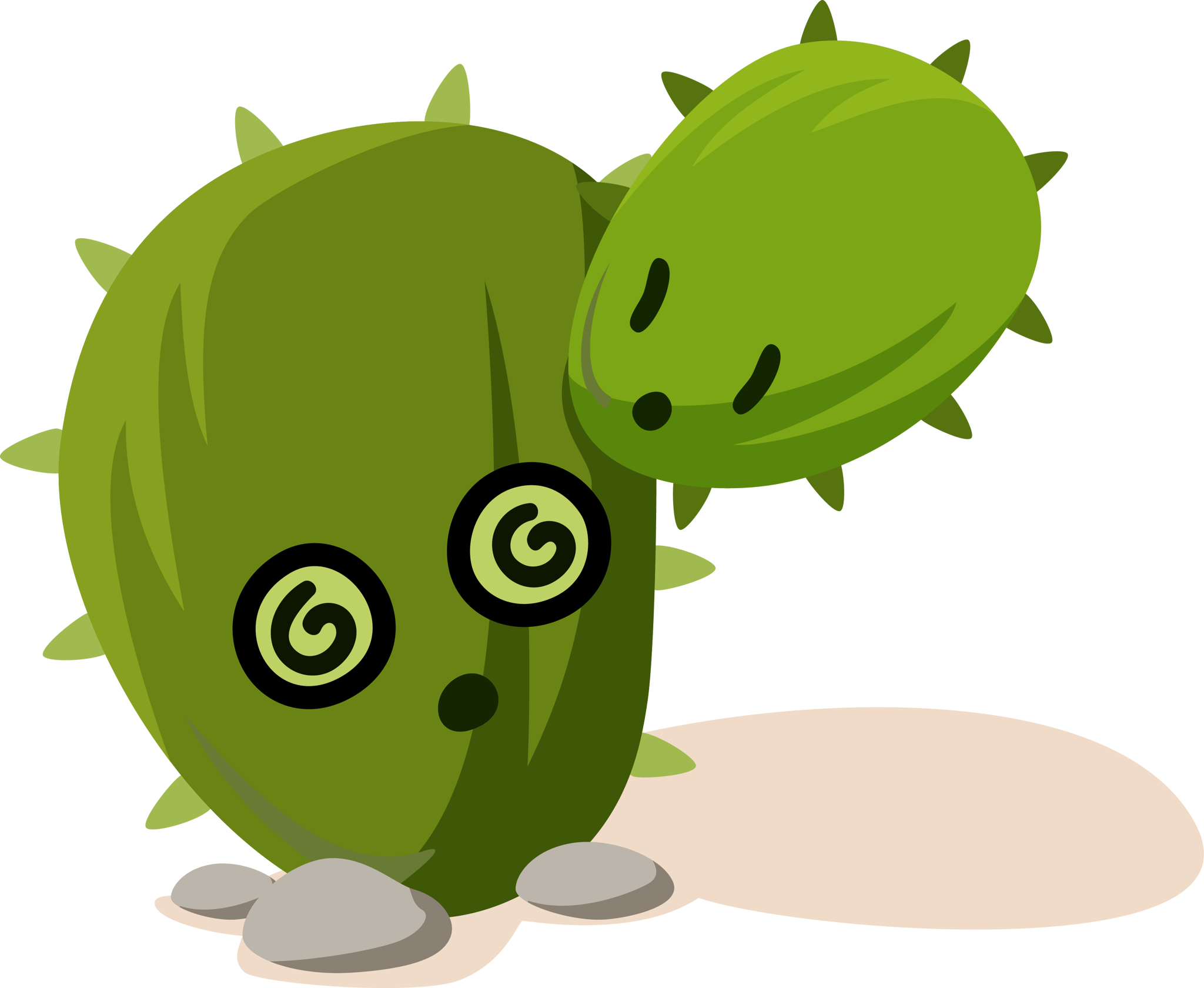 Cacti 6