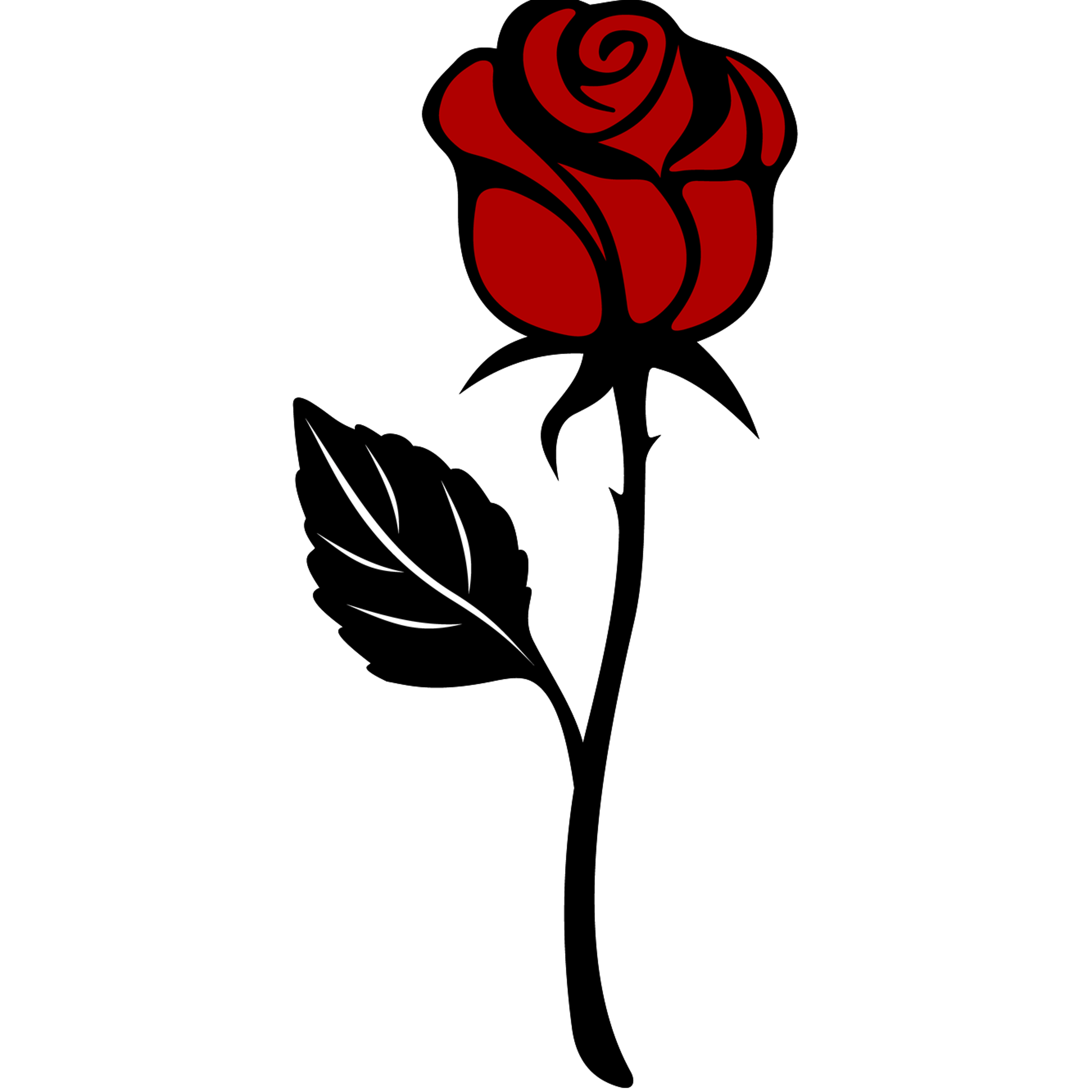 Rose Flower Stem