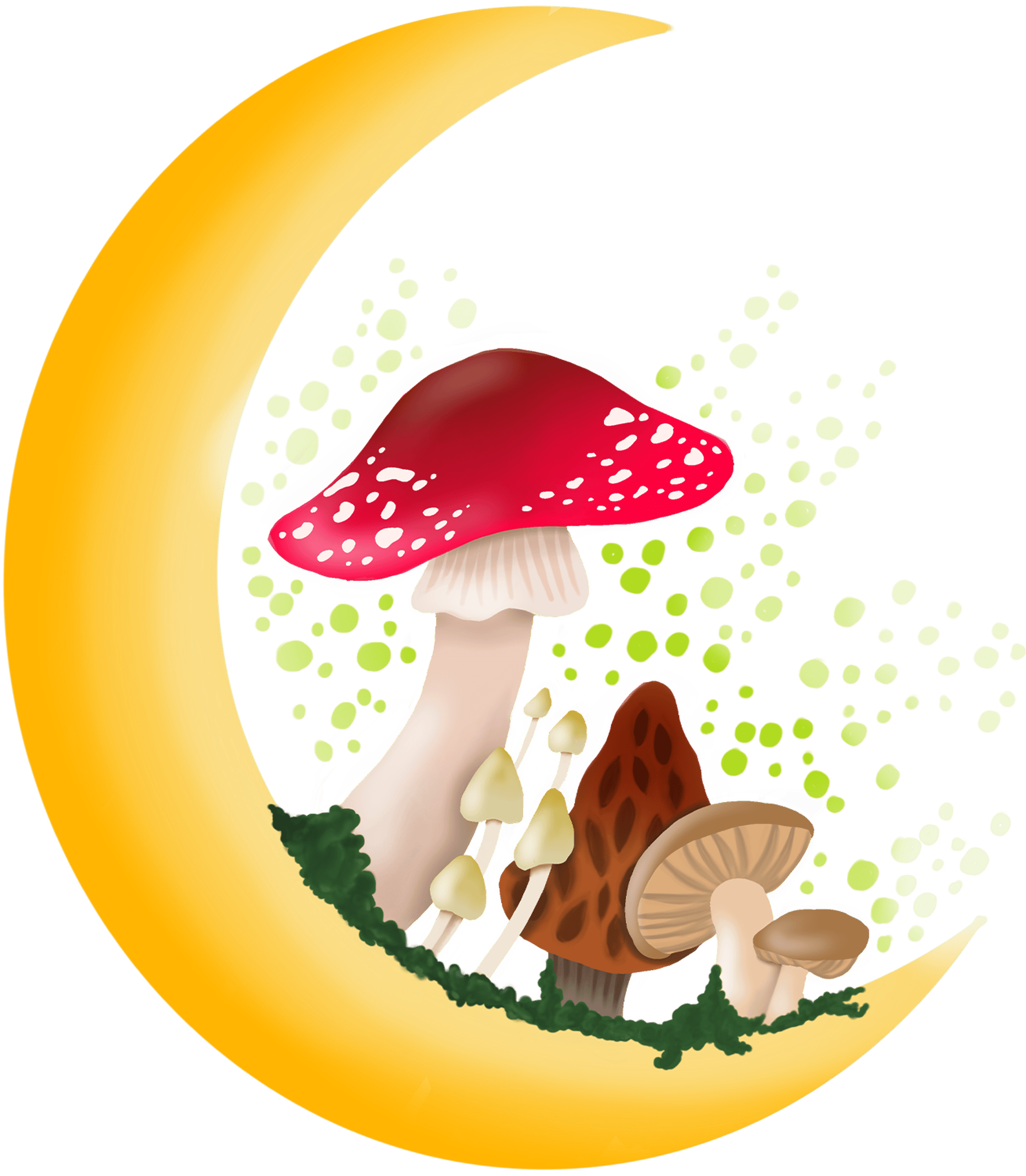 Moon Shrooms