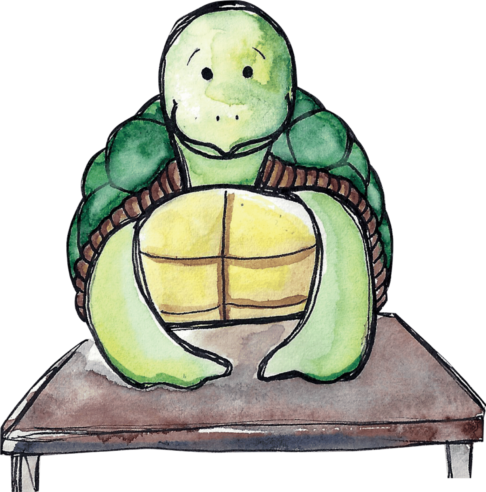 Turtle