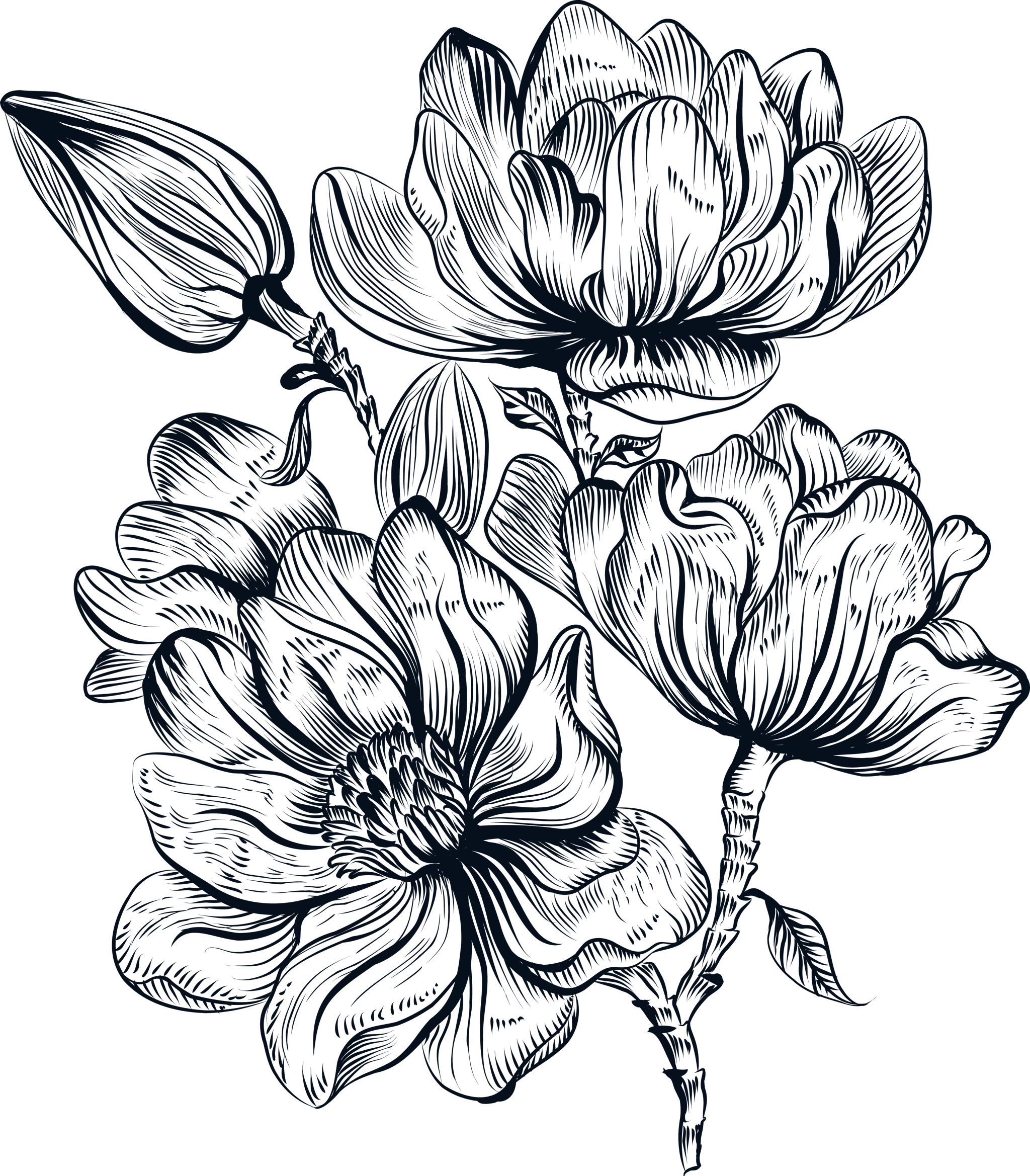 Ink Line Flower Bouquet