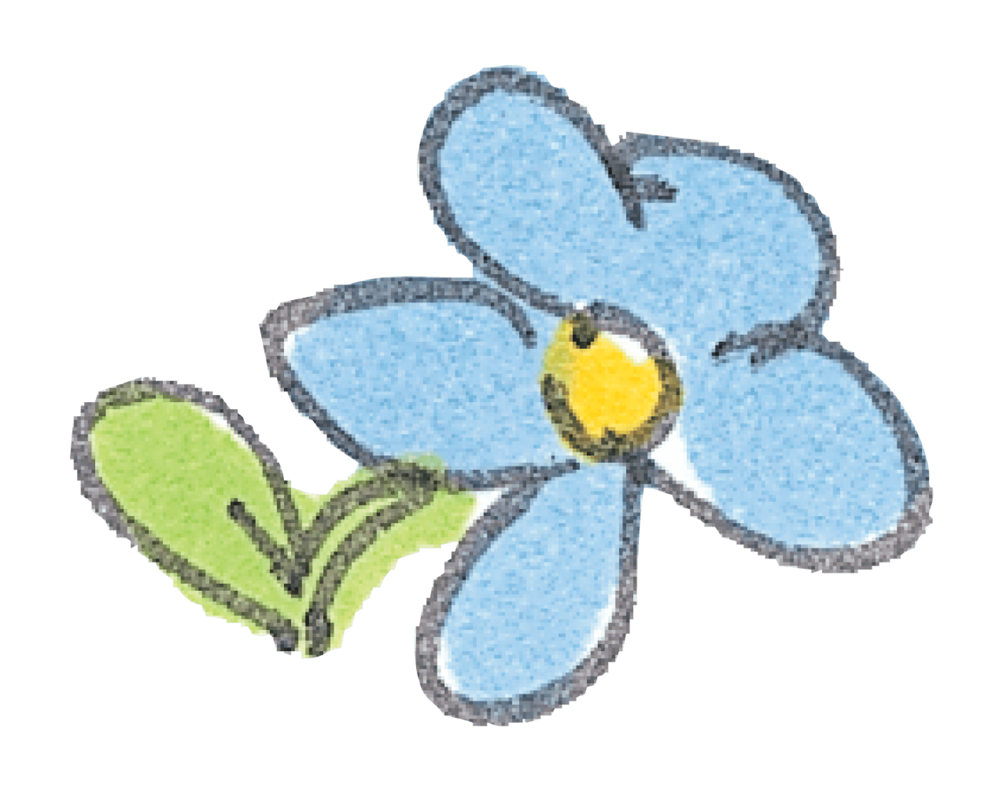 Basic Blue Flower