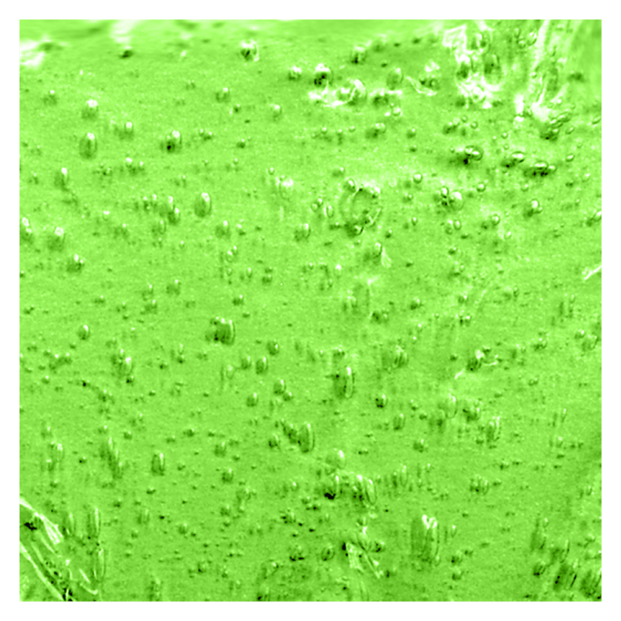 Slime