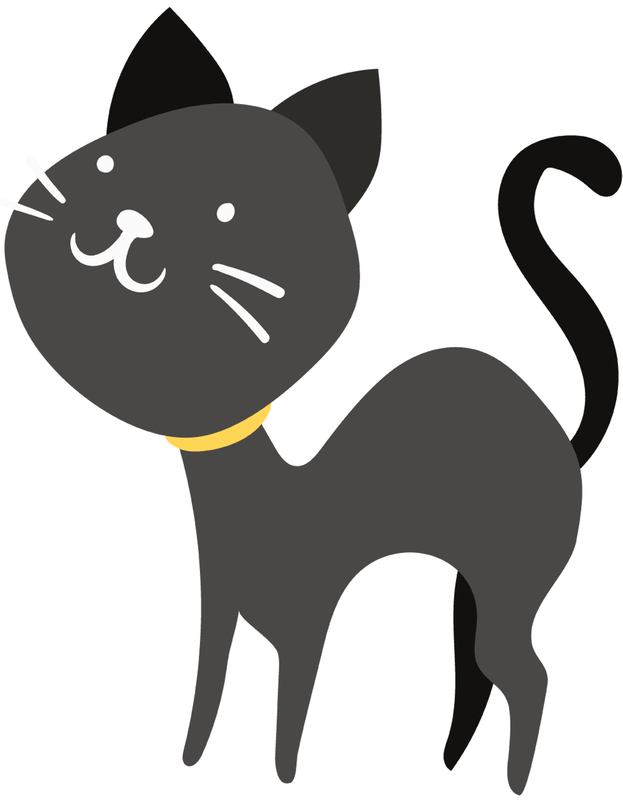 Black Cat