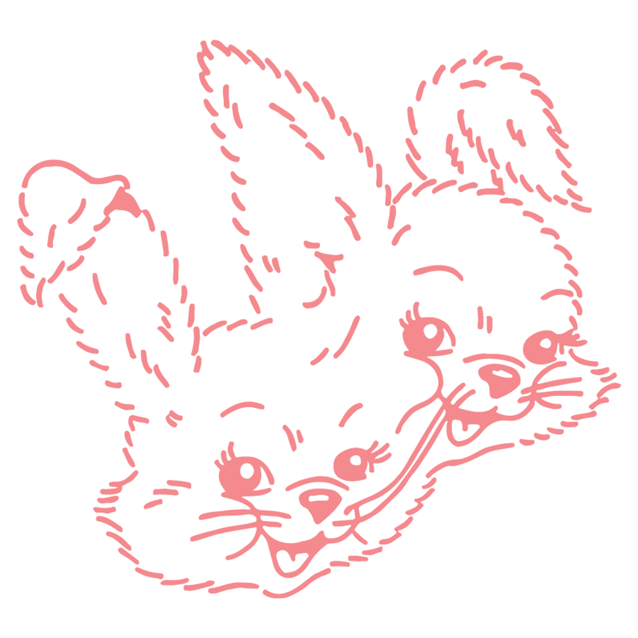 Twin Bunnies Y2K