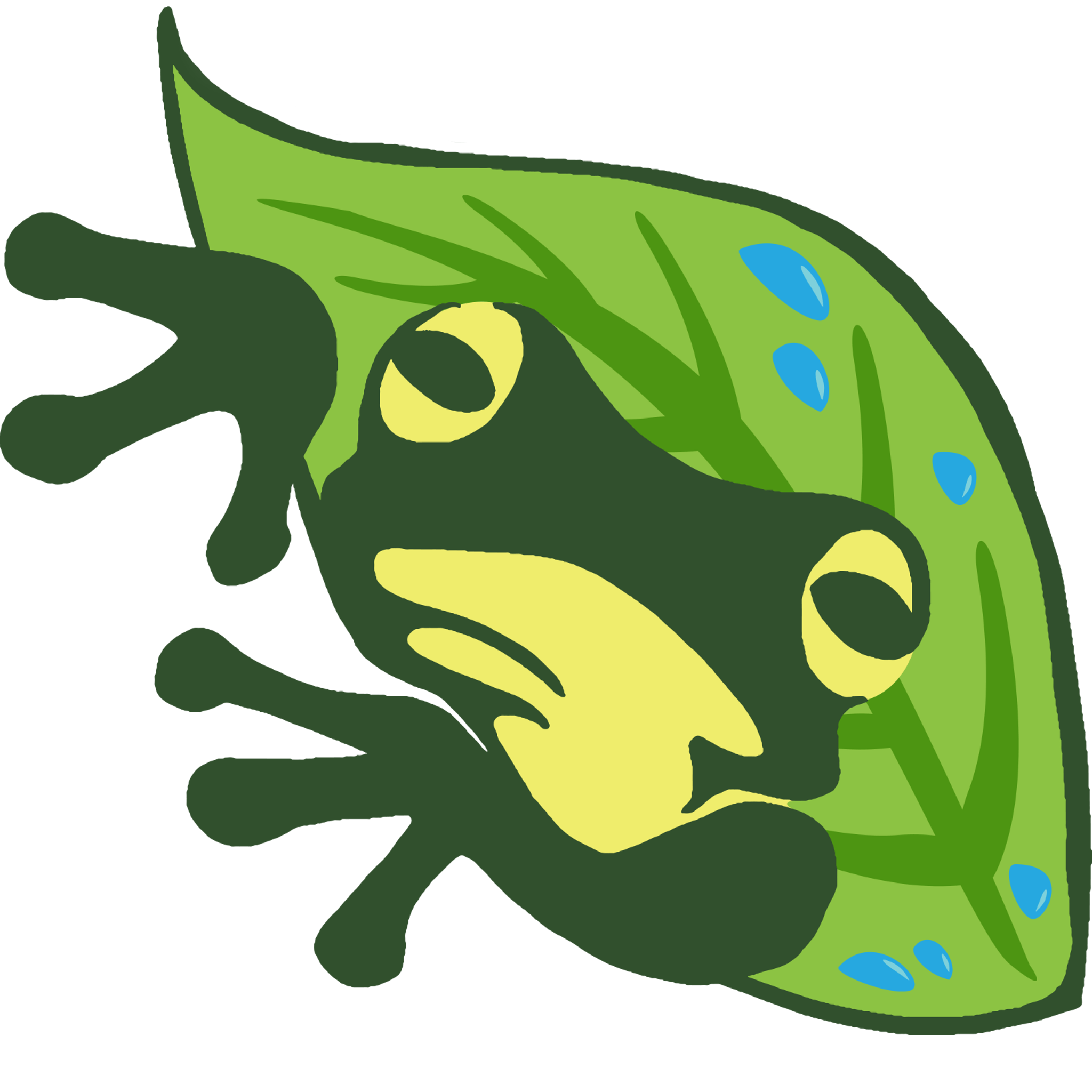 Rainy Leaf Frog