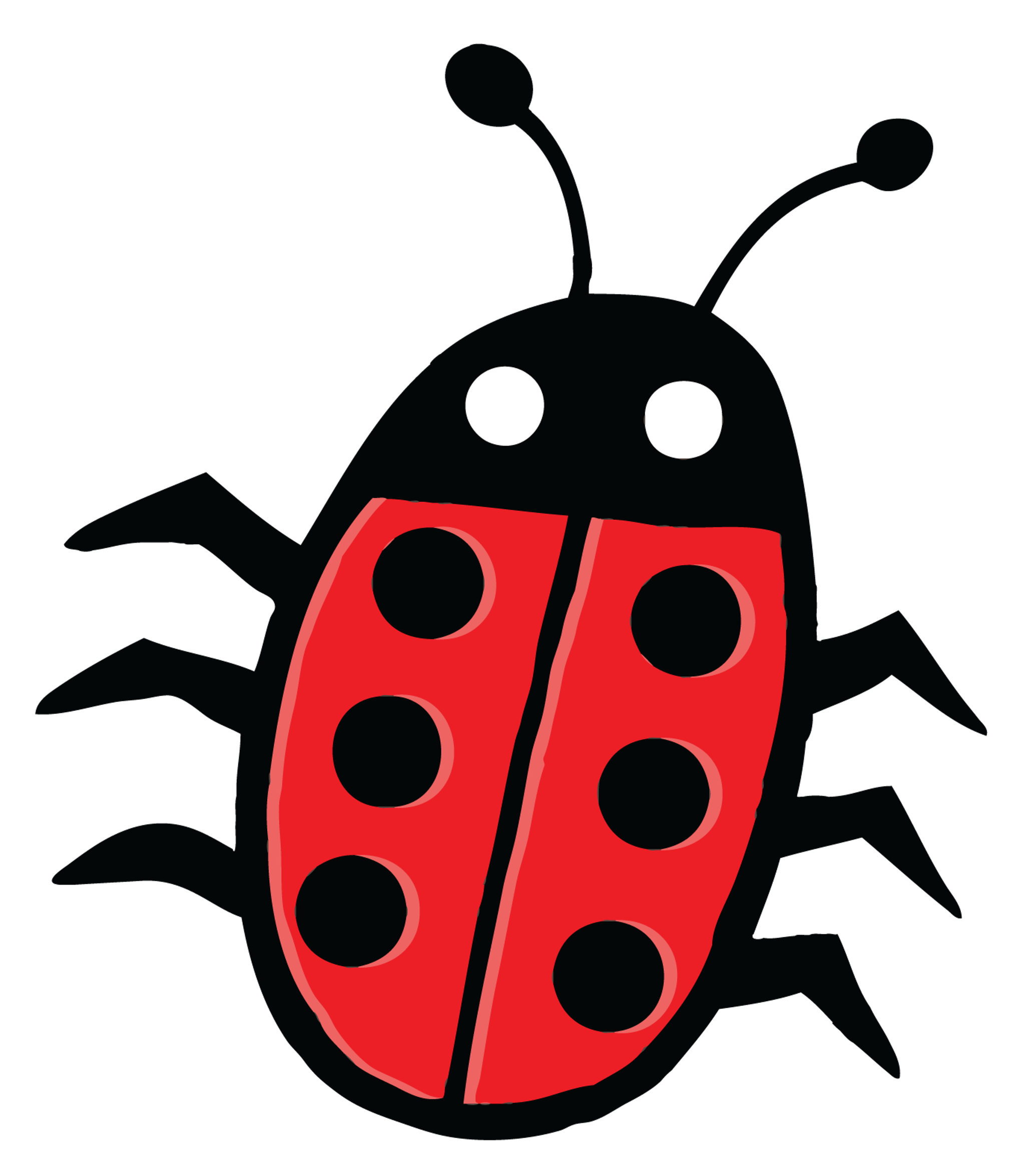 ladybug