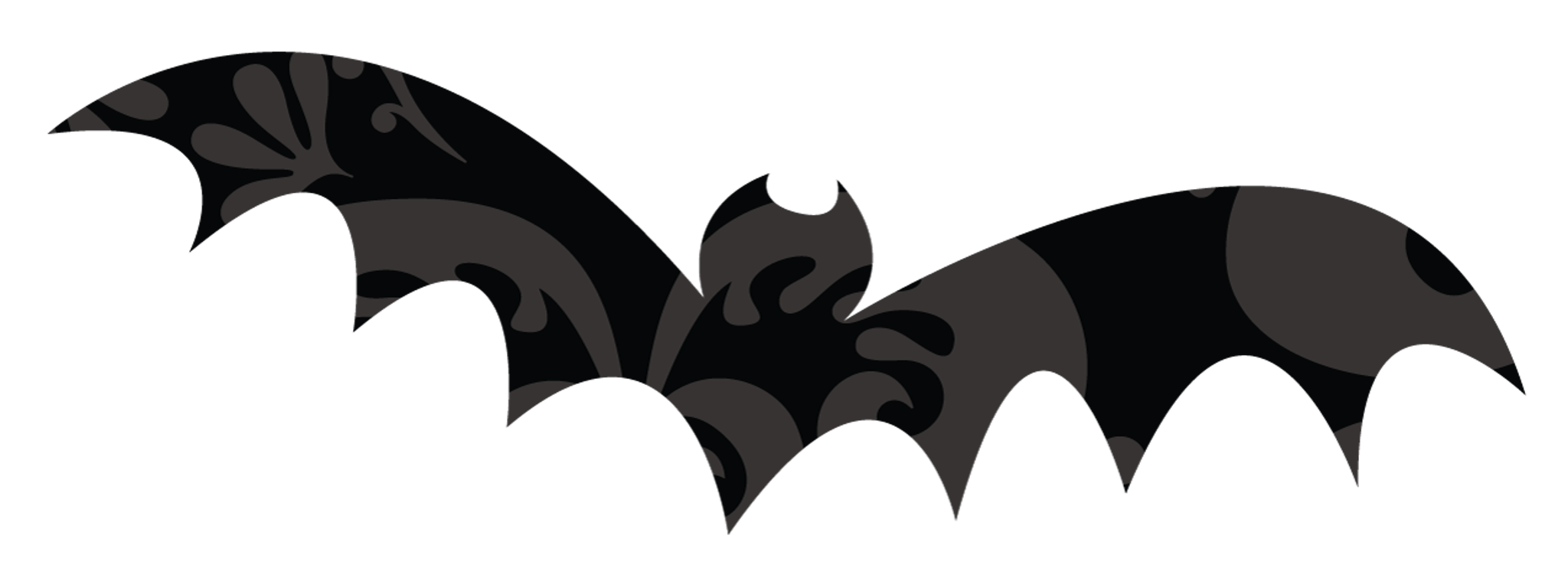 Black Bat
