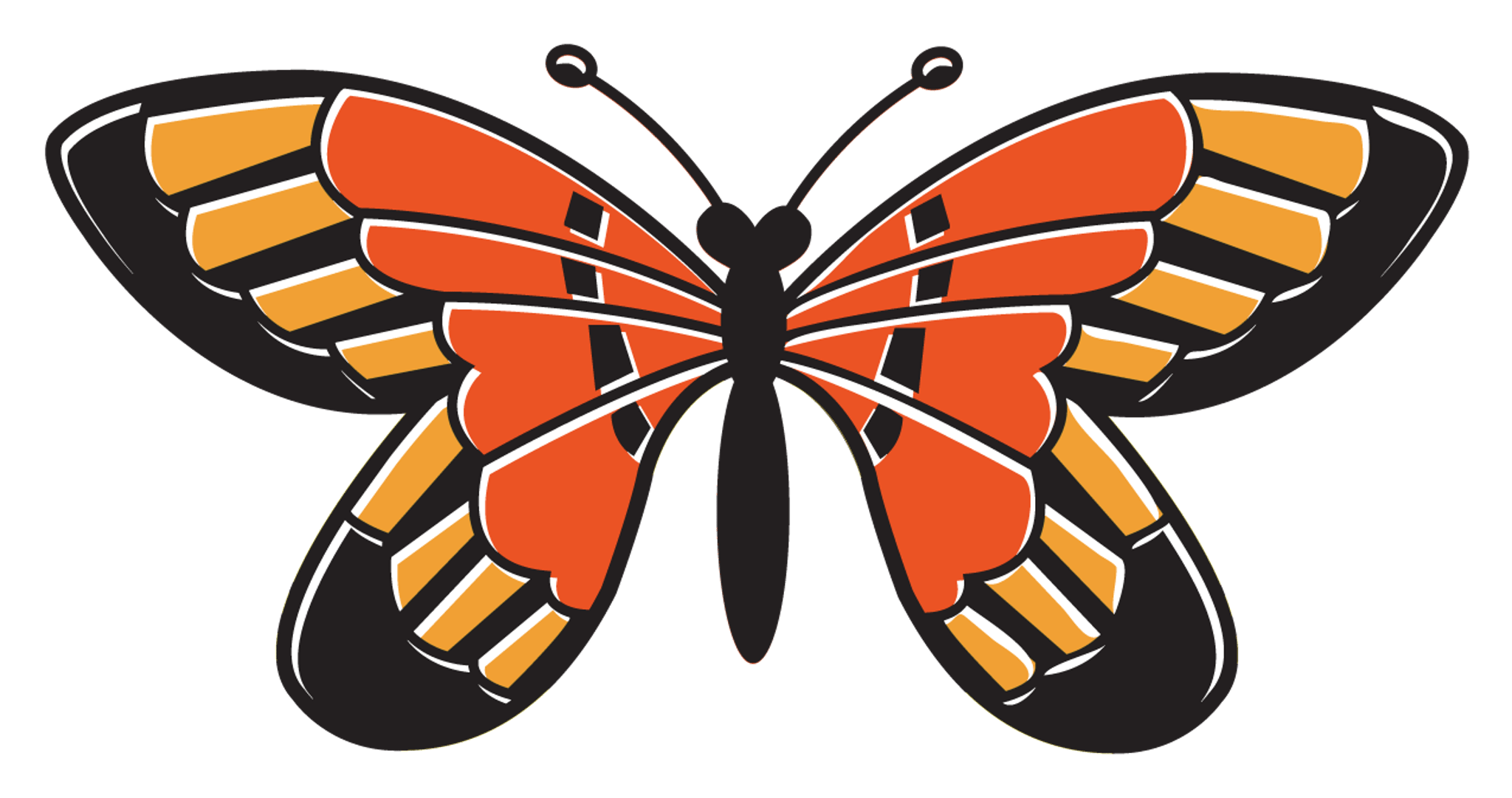 Aesthetic Monarch Butterfly